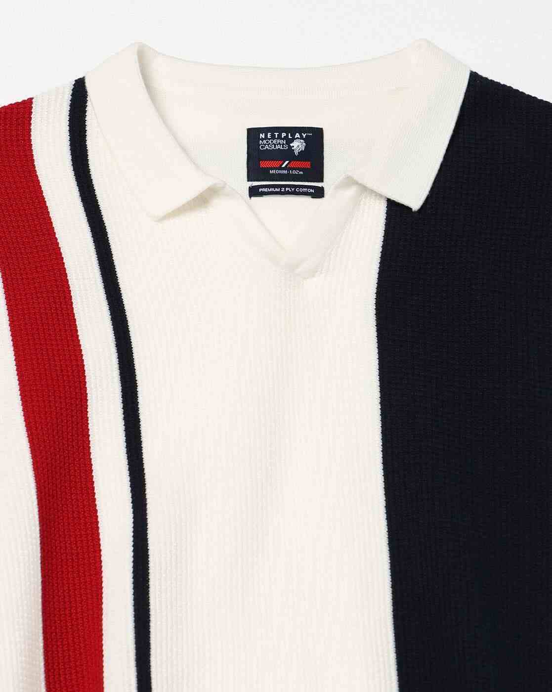 NETPLAY | Men Vertical Striped Slim Fit Polo T-Shirt|5