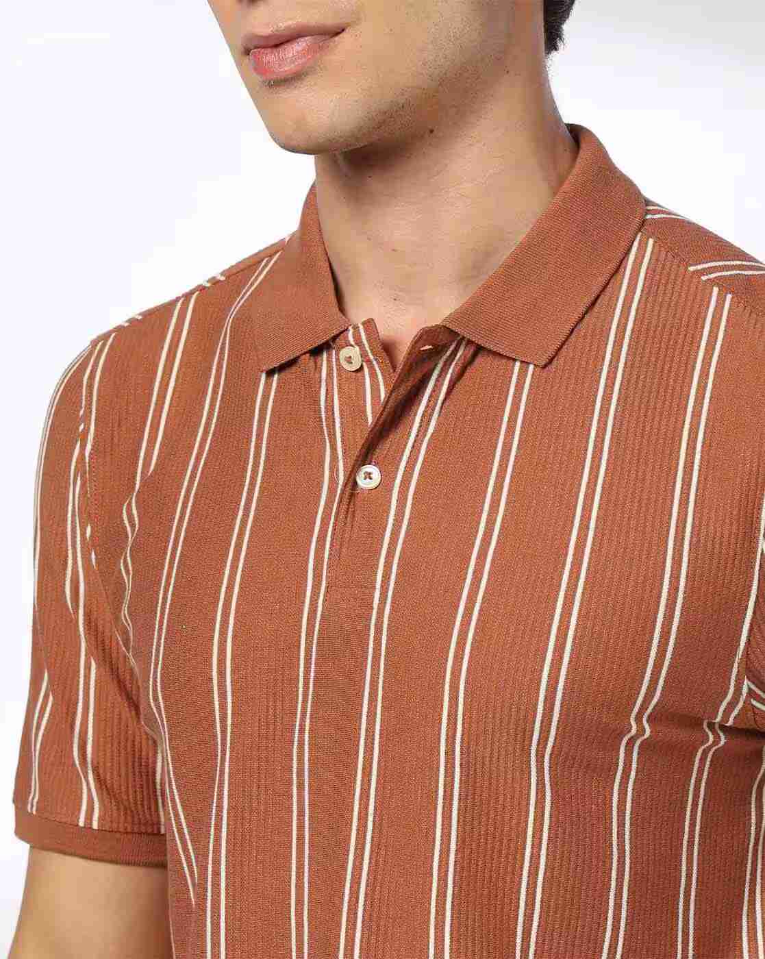 NETPLAY | Men Striped Slim Fit Polo T-Shirt|4