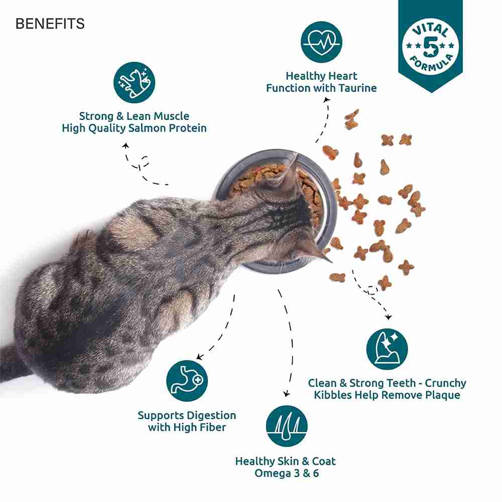 Top tail Adult Aalmon & Chicken Dry Food for Cats 3kg