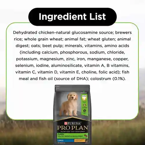 PURINA Pro Plan Chicken Large Breed Puppy Dog Dry Food