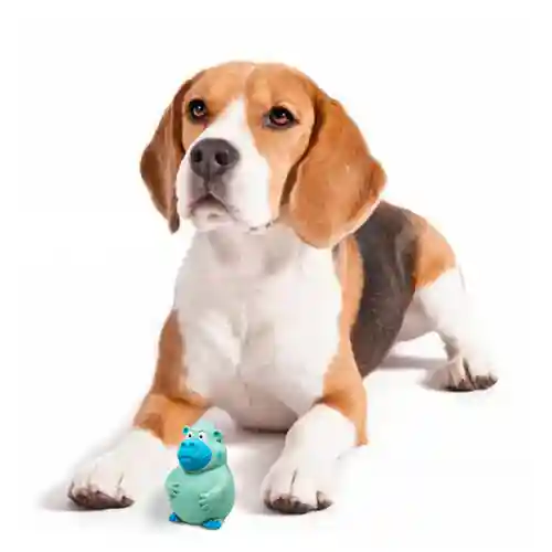 Barkbutler Fofos Latex Bi Ape Toy for Dogs