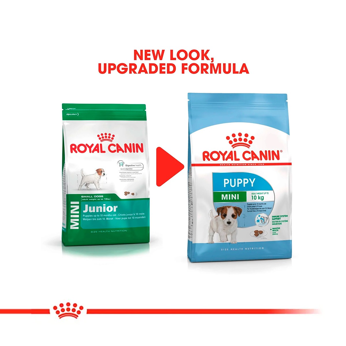 Royal Canin Mini Puppy Dry Dog Food