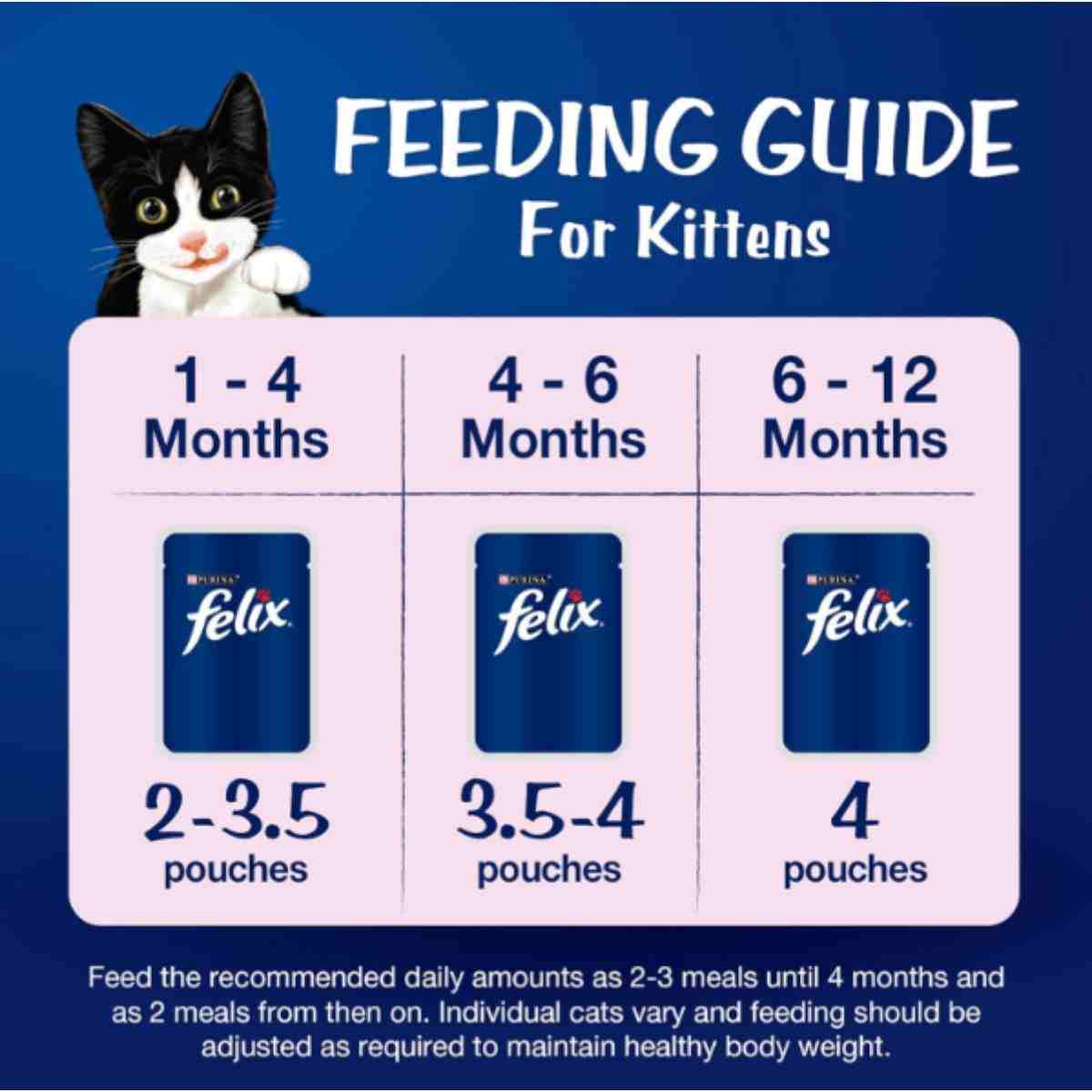 Purina Felix Tuna in Jelly Wet Kitten Food - 85gm