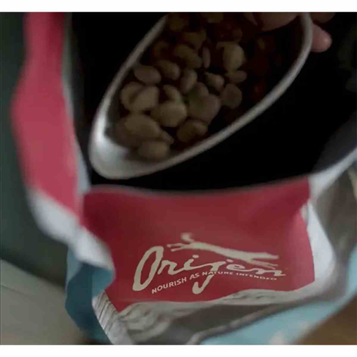 Orijen Cat & Kitten Dry Cat Food