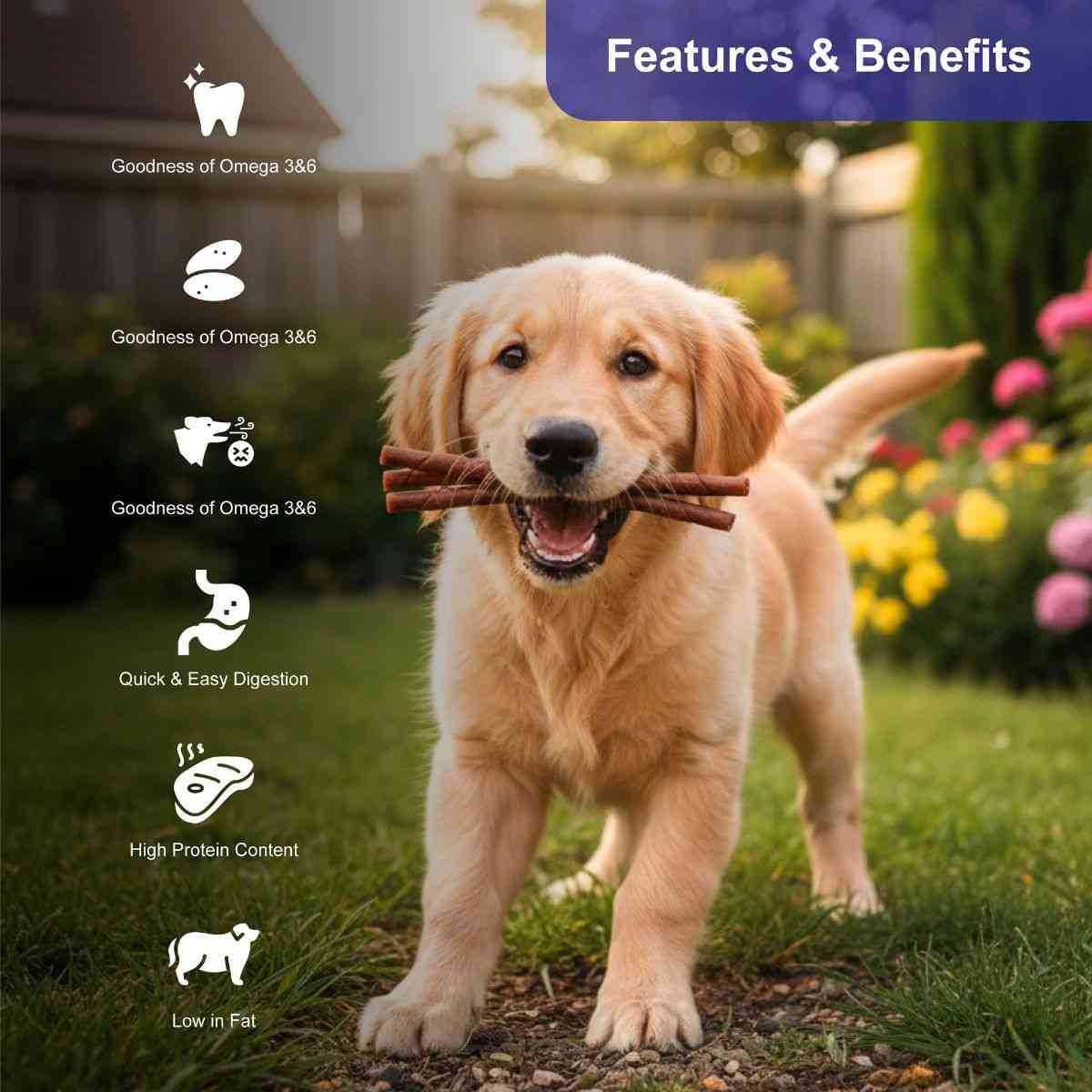 Snackers Non Rawhide Chews Chewy Roll Natural for Dogs, 225 g