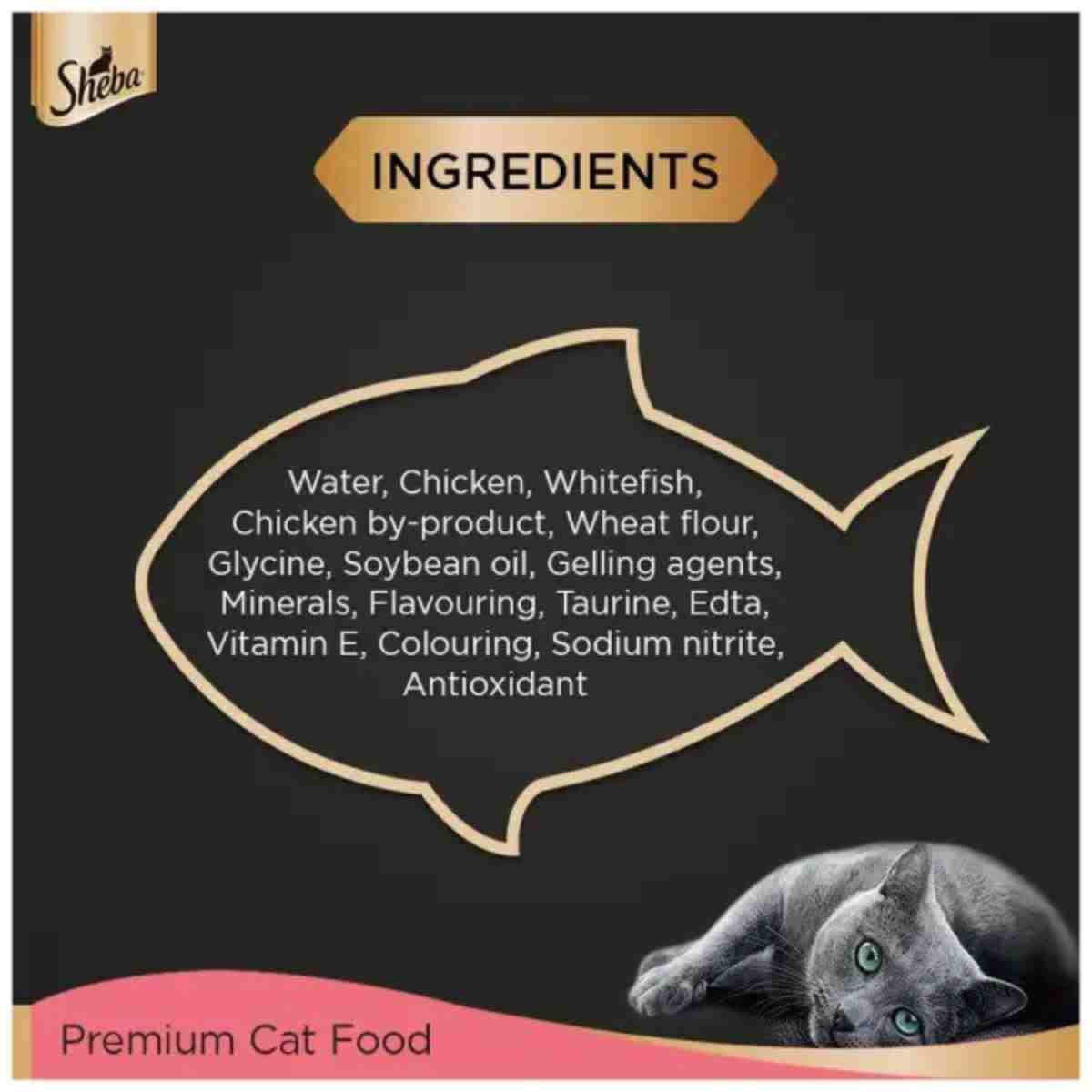 Sheba Rich Premium Chicken Loaf Wet Kitten Food - 70 gm