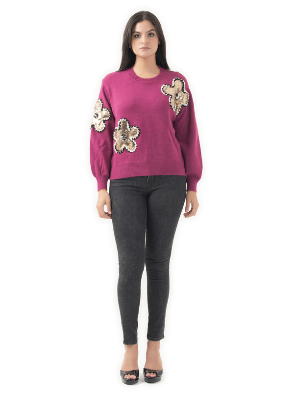 Albion Women Winter Plum Sweaters