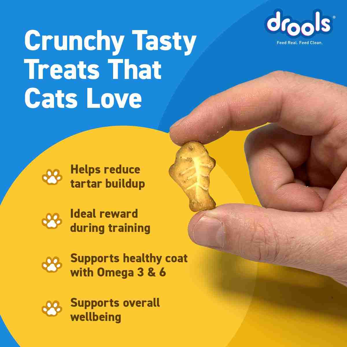 Drools Real Chicken Biscuits Cat Treats for All Life Stages, Jar