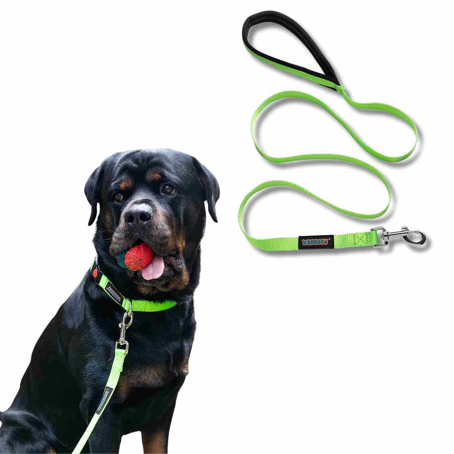 Waggety Dog Leash, Green