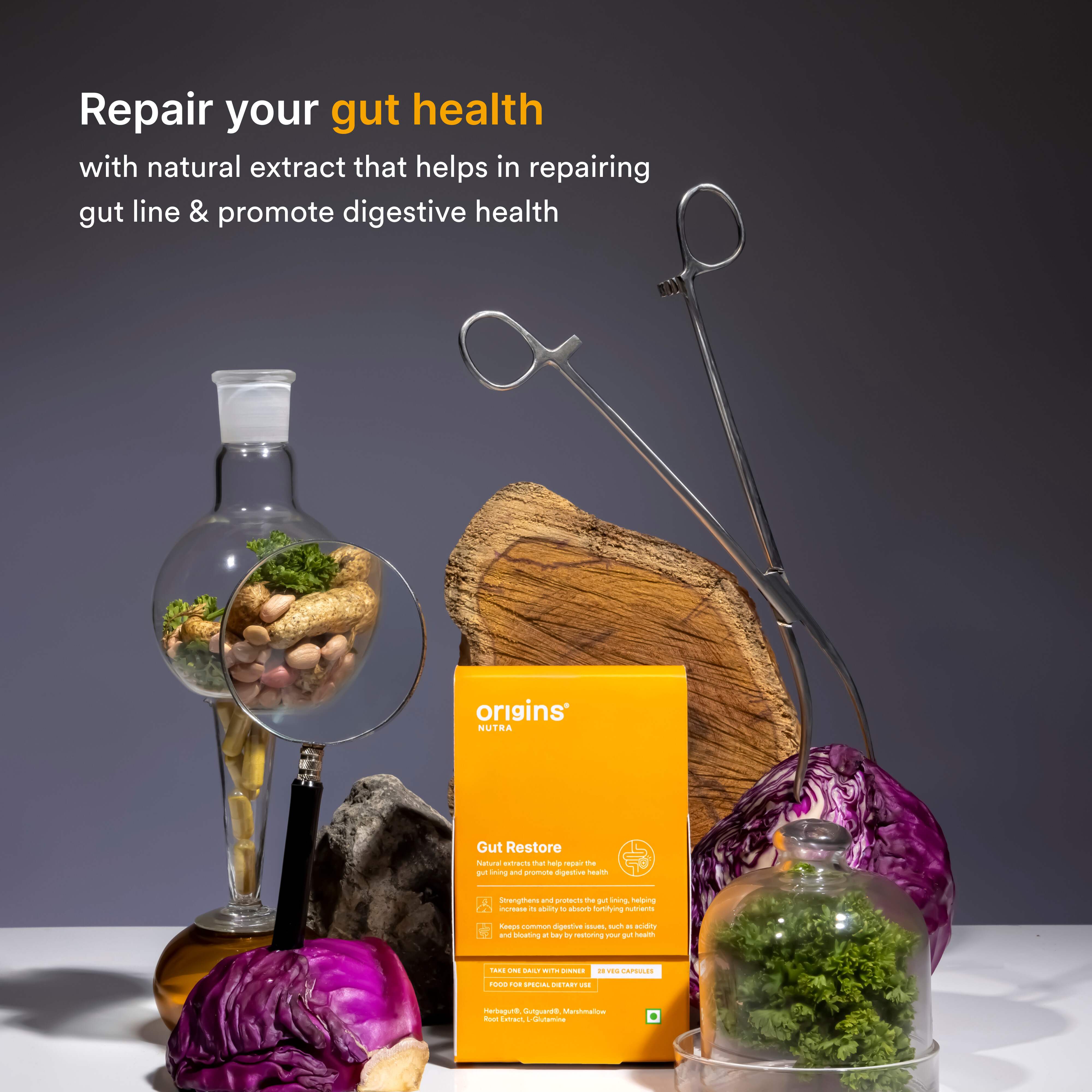 Origins Nutra | Gut Restore| For Men&Women | 28 Veg Cap