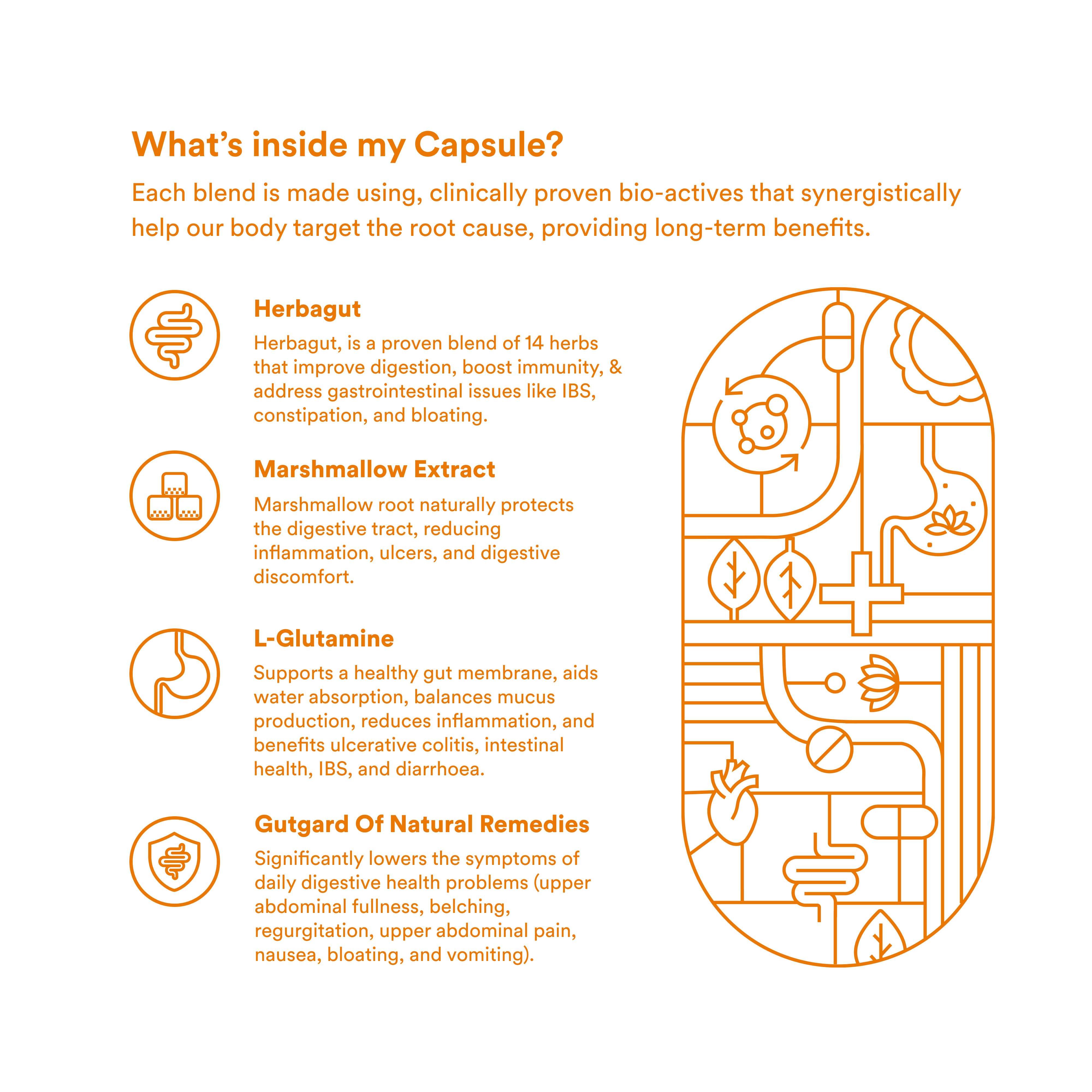 Origins Nutra | Gut Restore| For Men&Women | 28 Veg Cap