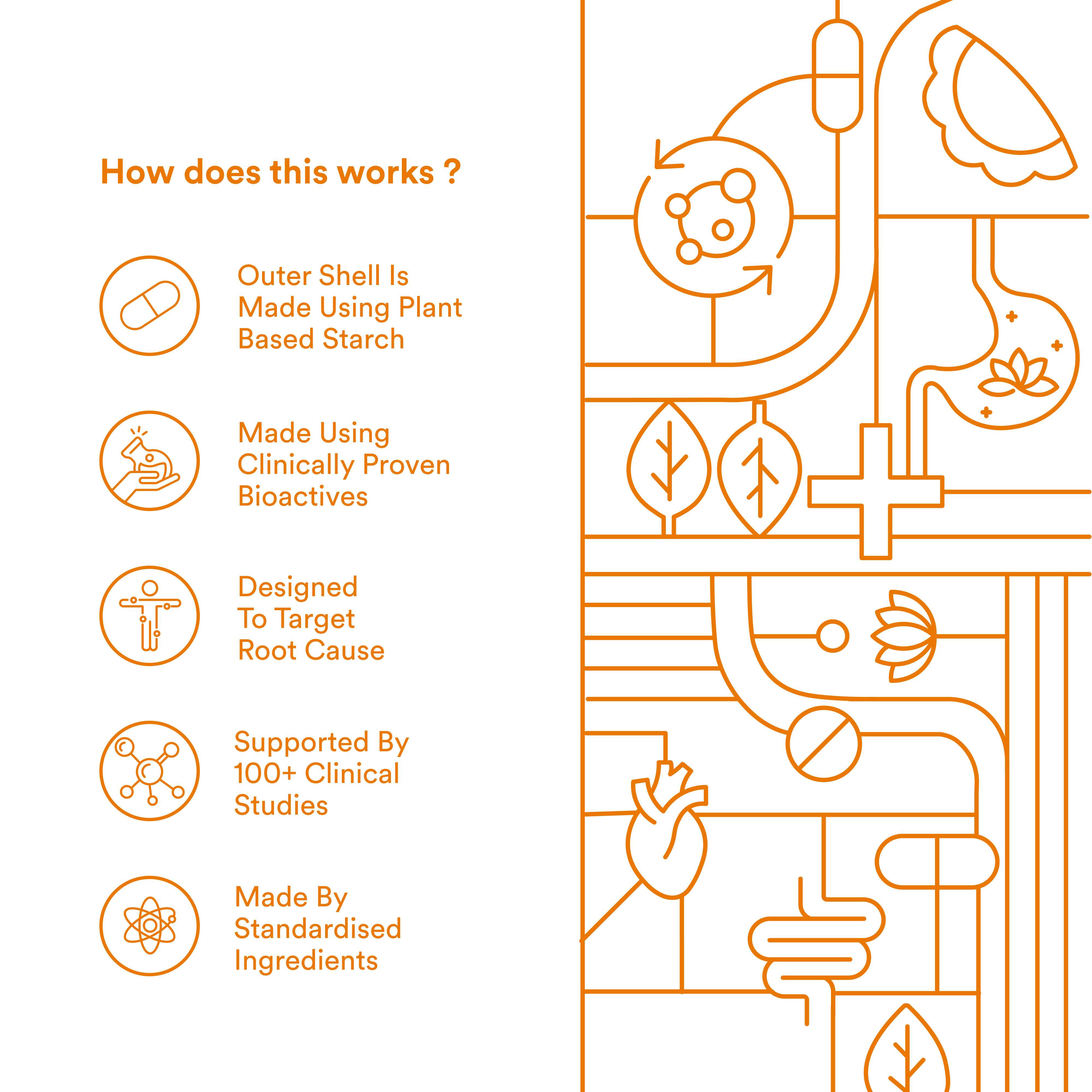 Origins Nutra | Gut Restore| For Men&Women | 28 Veg Cap