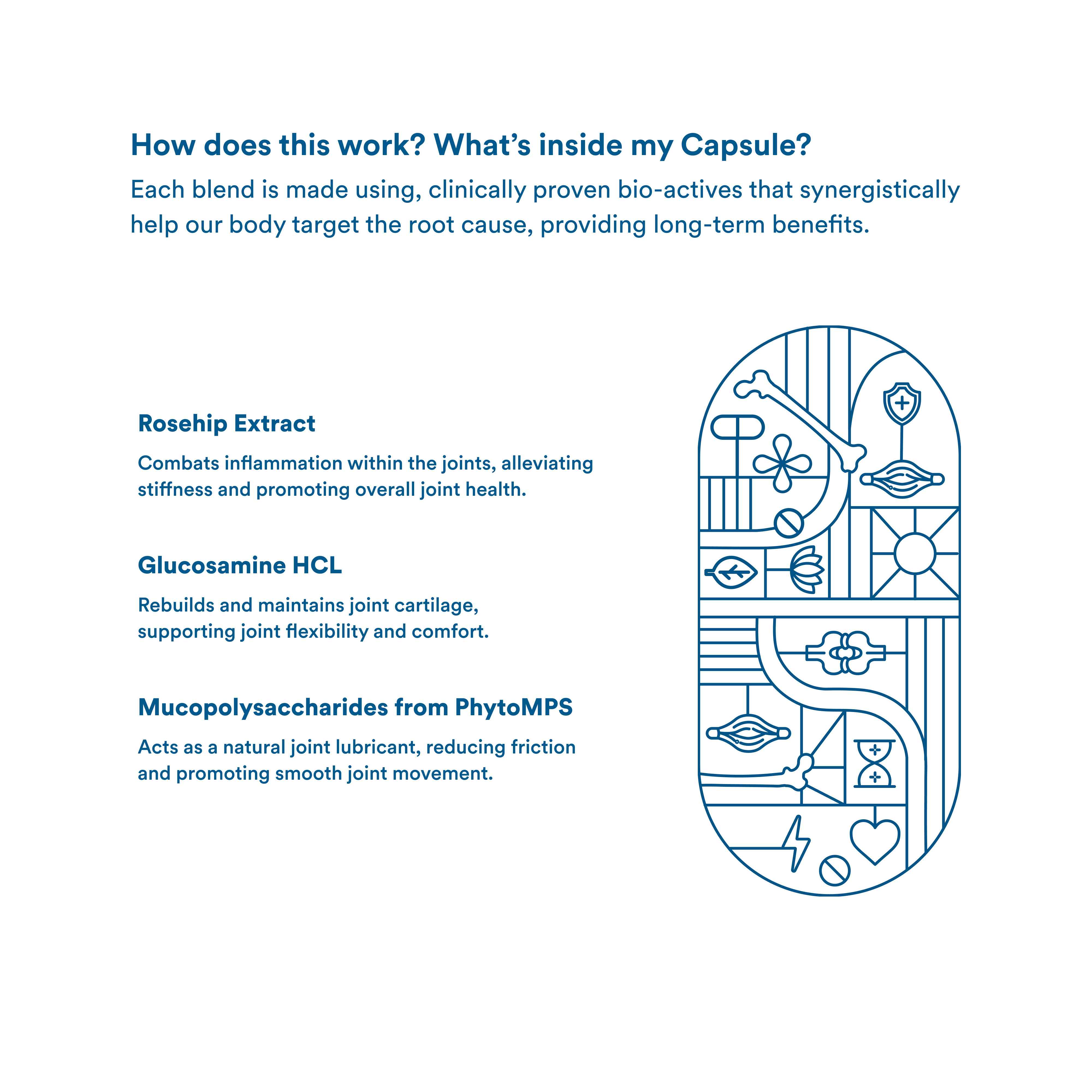 Origins Nutra | Jointflex Support |For Men & Women | 56 Veg Tab