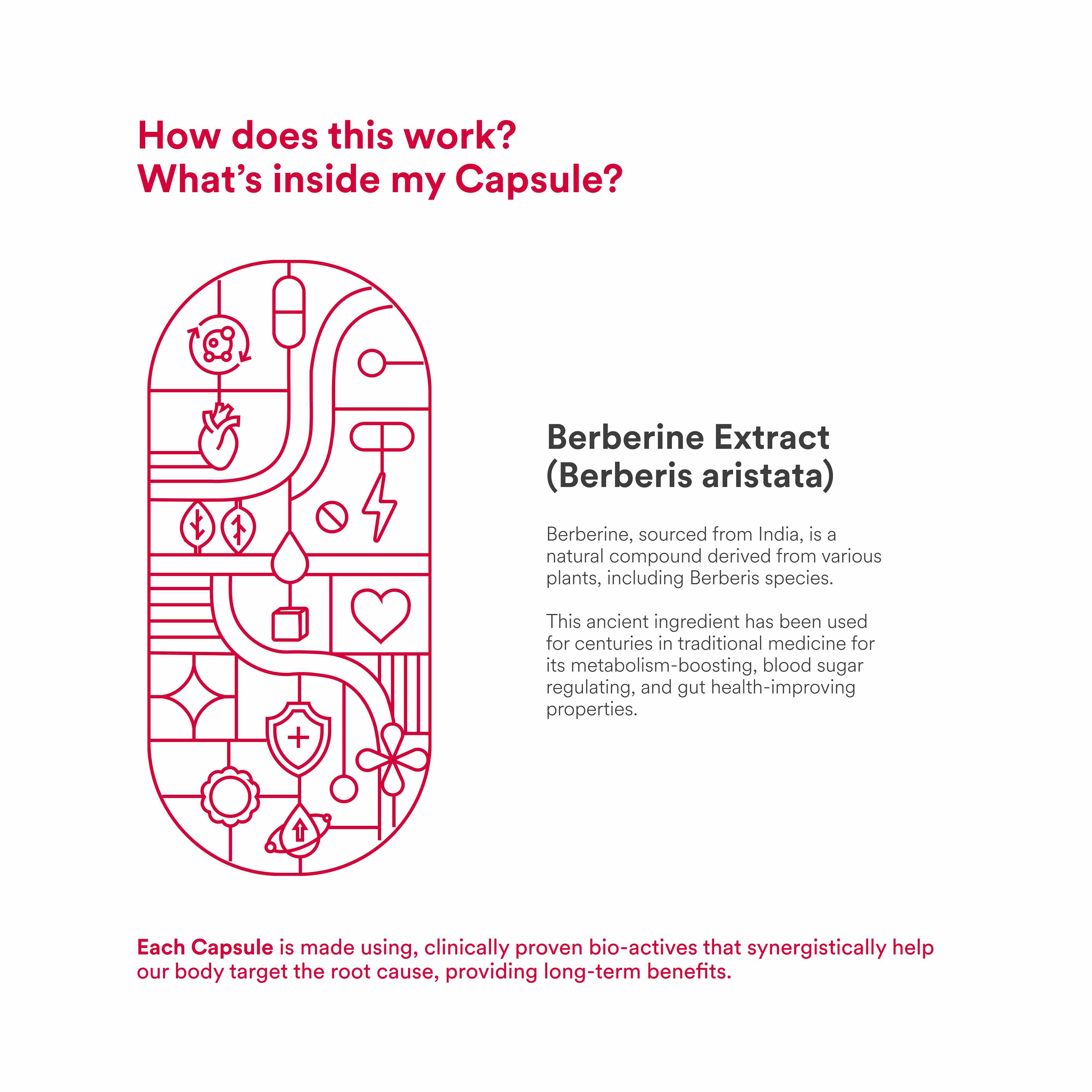 Origins Nutra | Berberine |For Men & Women | 28 Veg Capsules