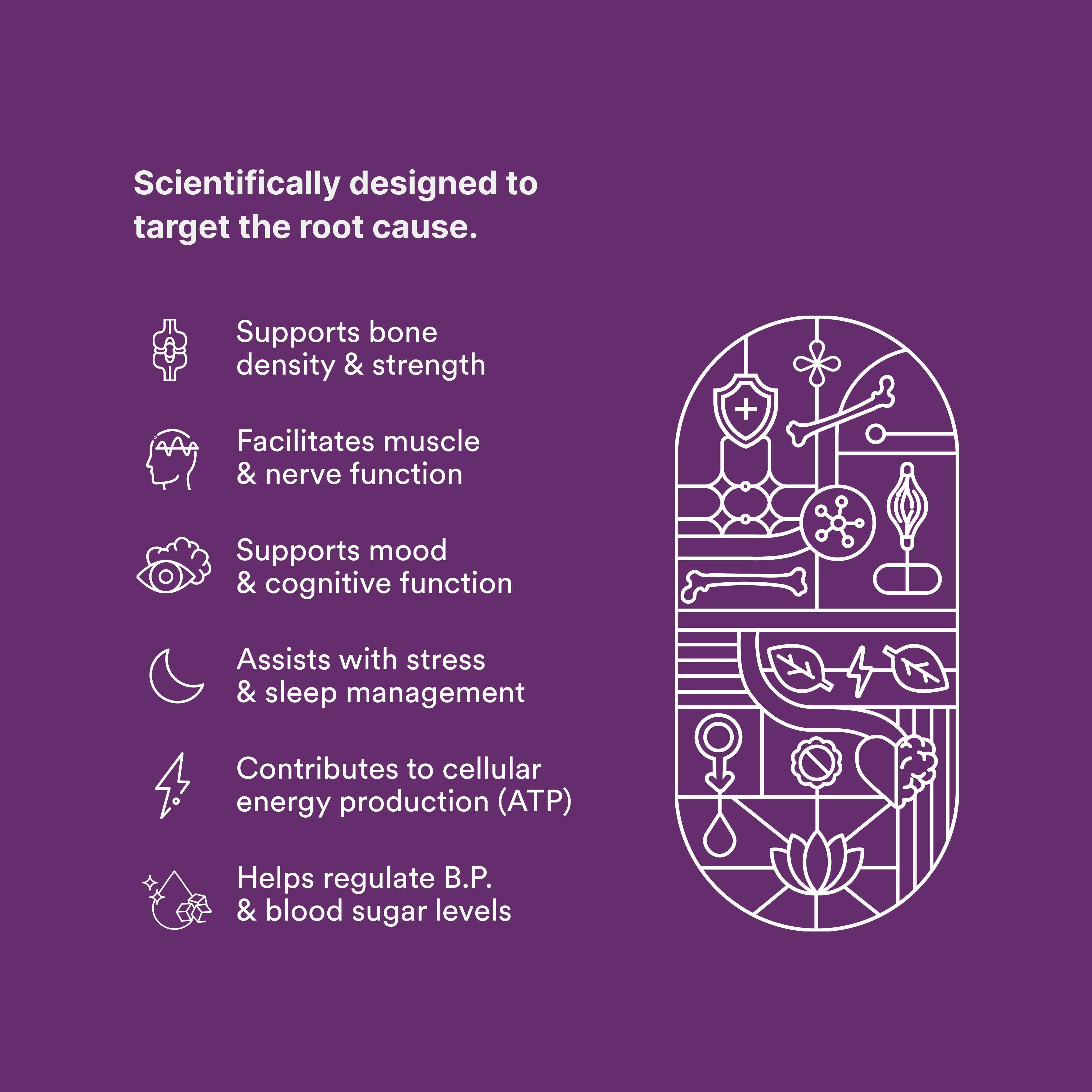 Origins Nutra | Magnesium Supplement for Men | 56 Veg Cap