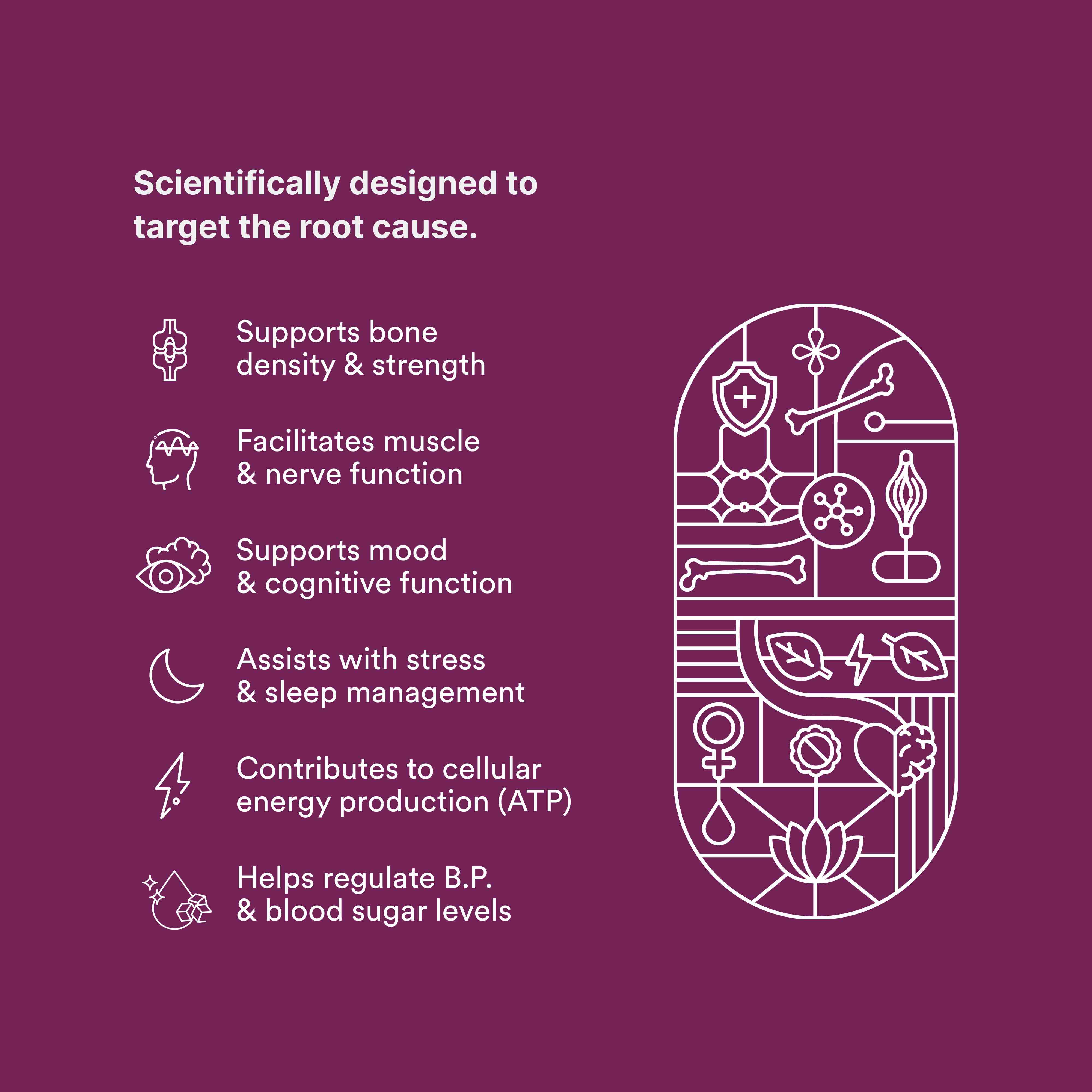 Origins Nutra | Magnesium + D3 + K2-7 for Women | 56 Veg Cap (Pack of 1)