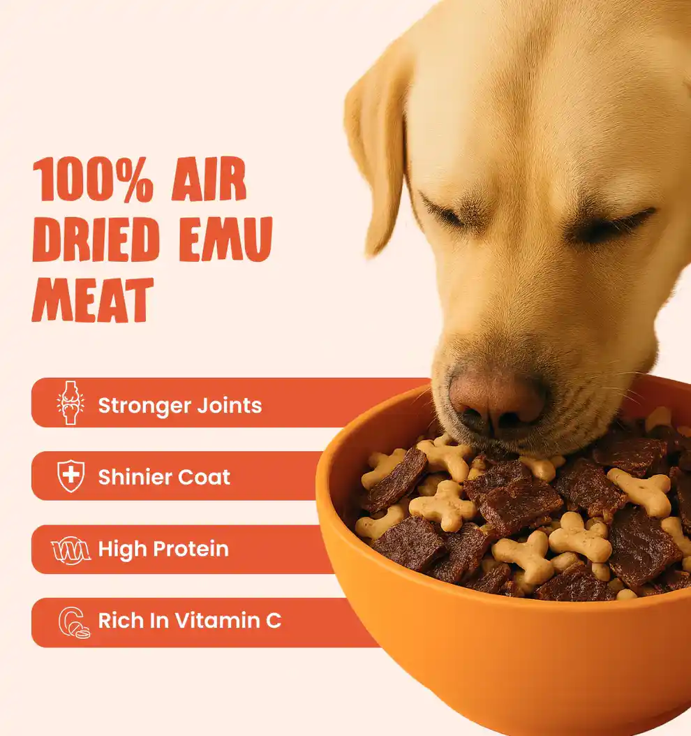 Human and the Beast EMU DASH Dry Food for Dogs, 100 g