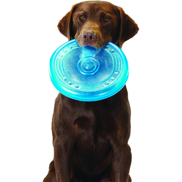 Outward Hound ORKA Flyer Toy