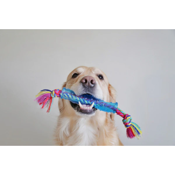 Outward Hound Orka Stick Dog Chew Toy