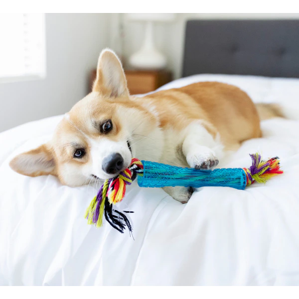 Outward Hound Orka Stick Dog Chew Toy