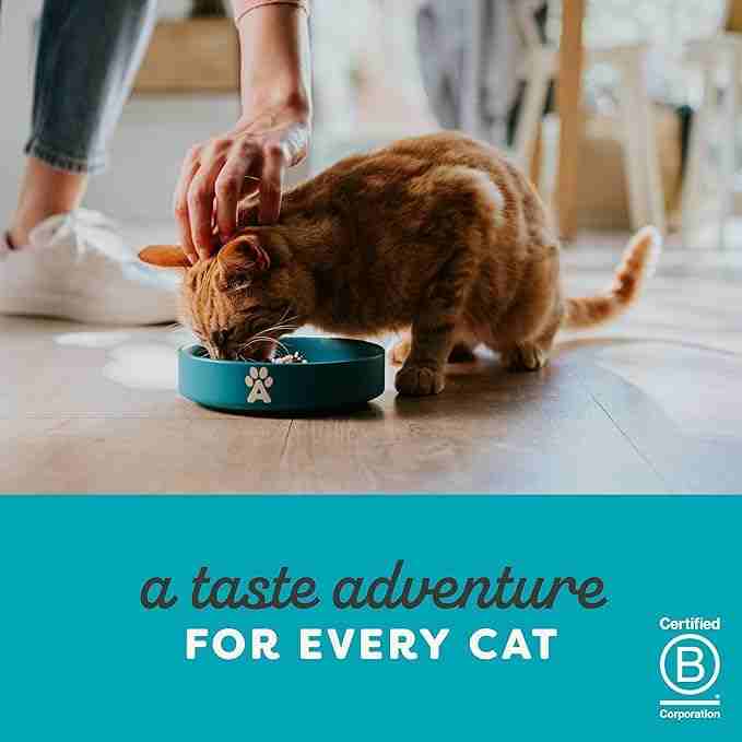 Applaws Chicken Breast Tinned Cat Wet Food, 70 g