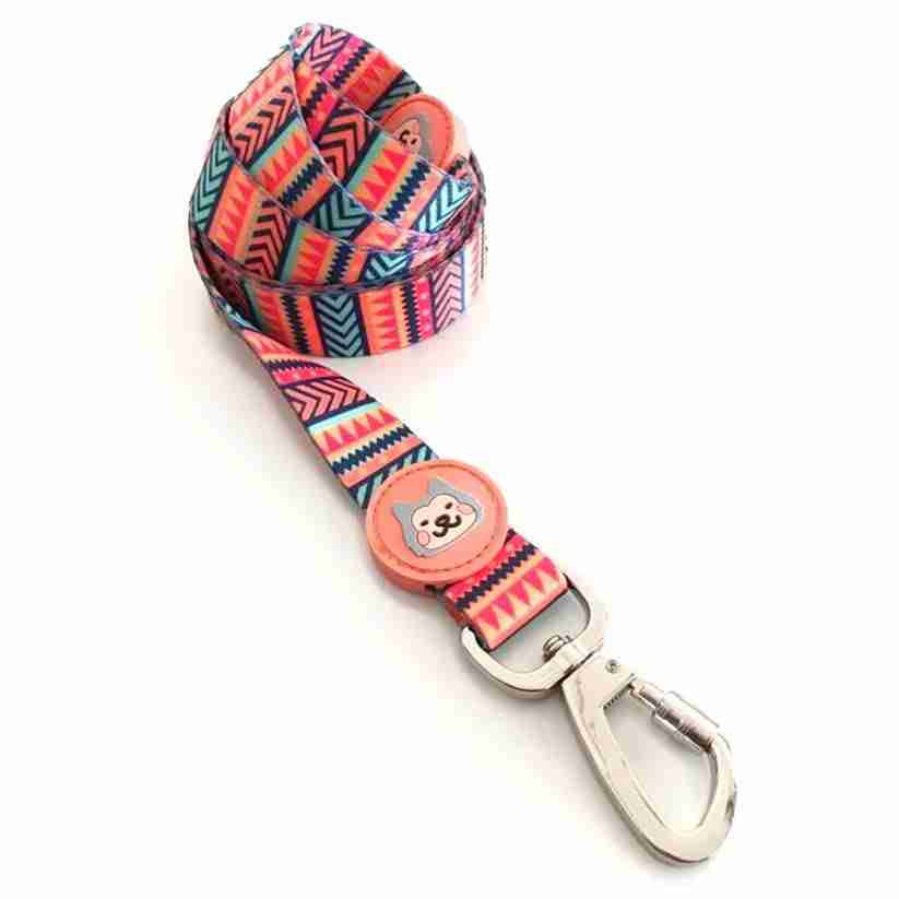 Dog-O-Bow Aztec Print Leash for Dogs
