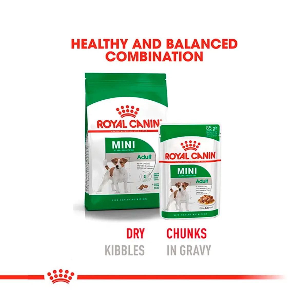 Royal Canin Mini Adult Dry Dog Food