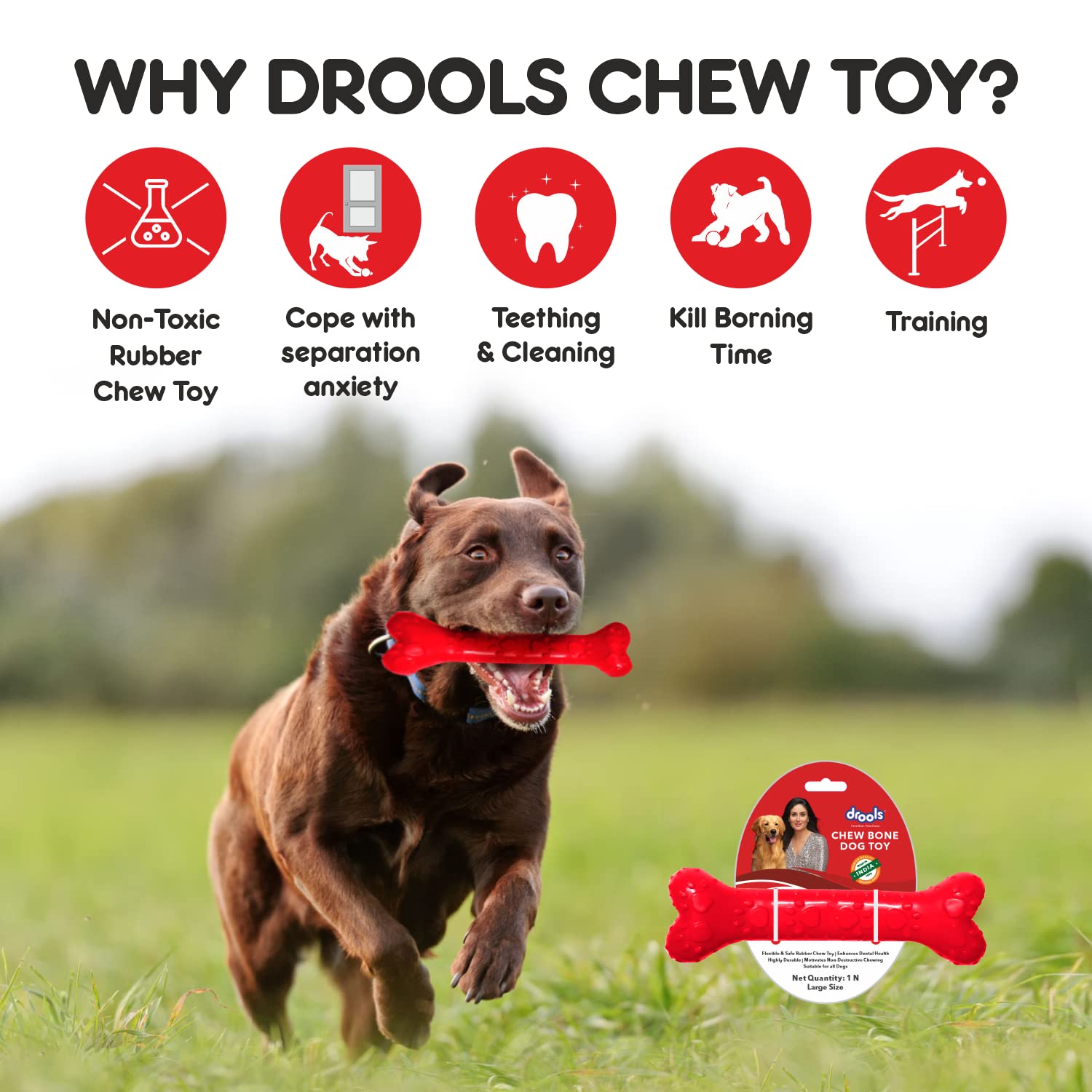 Drools Dog Chew Bone Teething Toy (Medium)