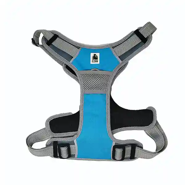 Ezra 2 x Sport No-Pull Dog Harness - Blue