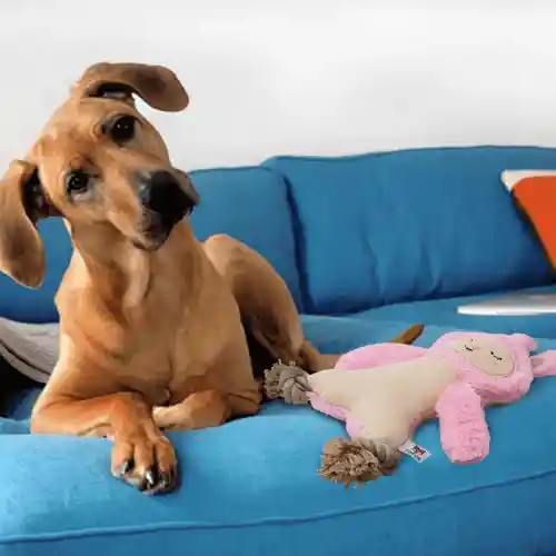 Barkbutler Fofos Rope Leg Plush Rabbit Toy for Dogs