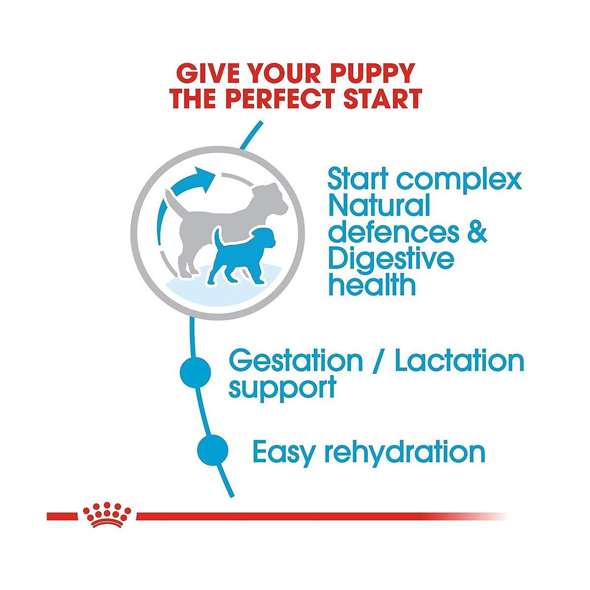 Royal Canin Mini Starter Dry Dog Food, 220g with Mini Puppy Gravy, 85g (220g + 85g)