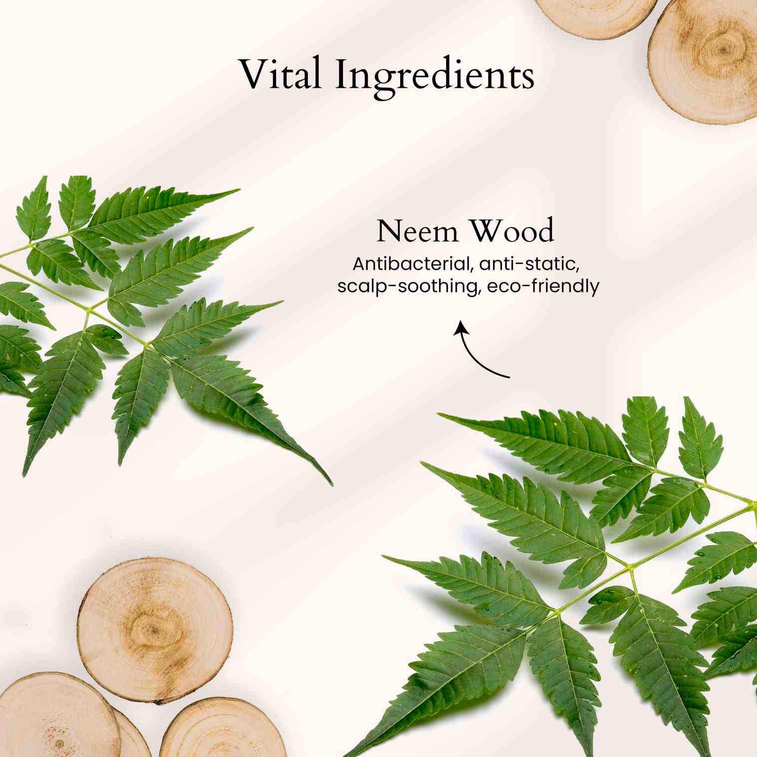 Panash | Prasadana Neem Hair Comb | 35g