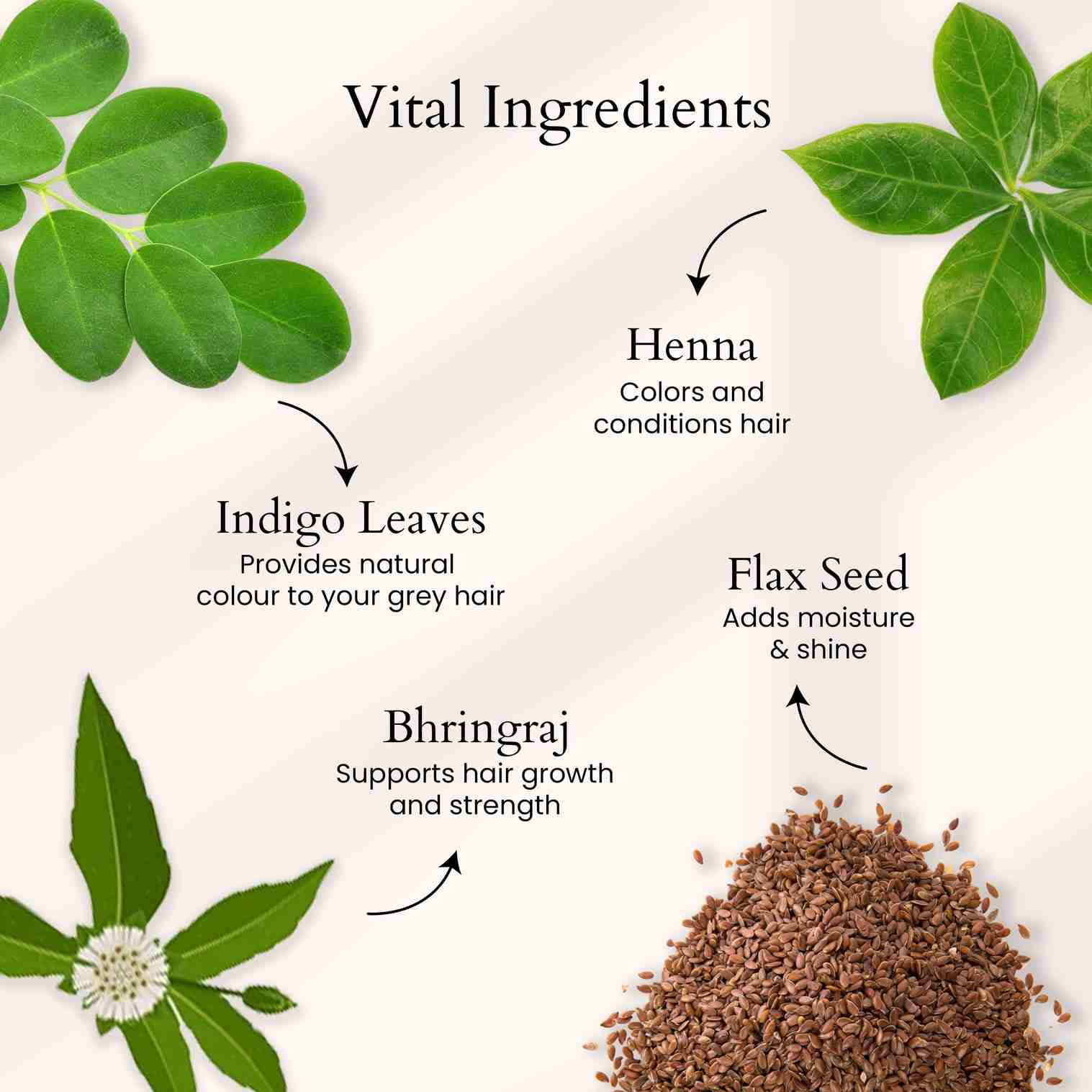 Panash | Neelamari Mehendi | 100g