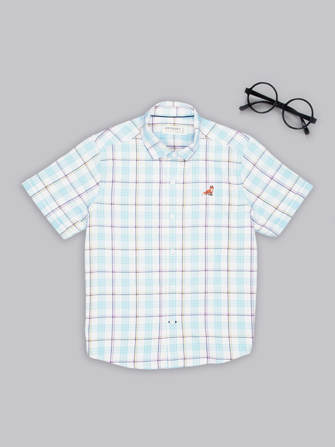 Aqua Check Casual Shirt