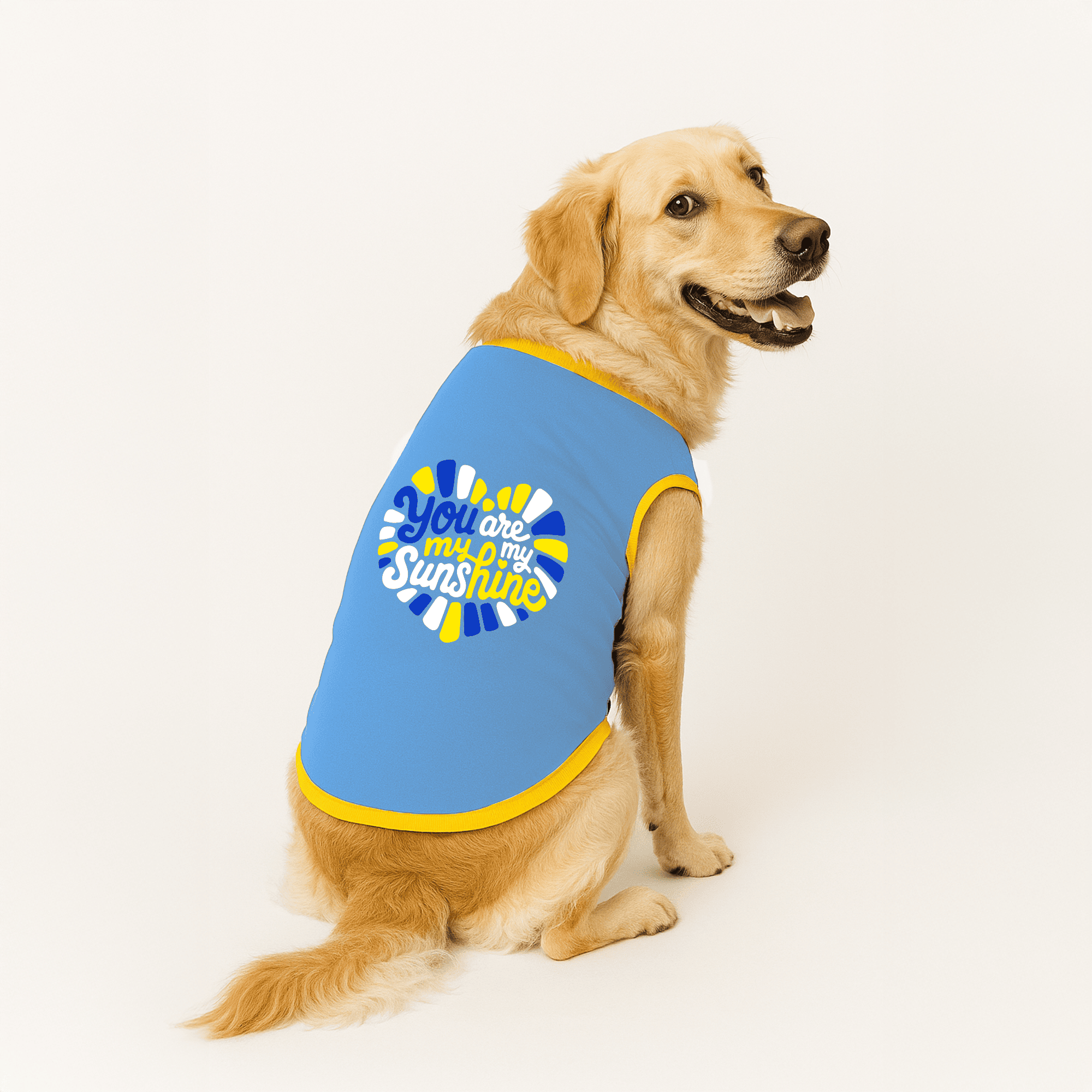 PawsIndia Ribbed Sleeves Printed Dog T-Shirt - You Are My Sunshine (Blue)