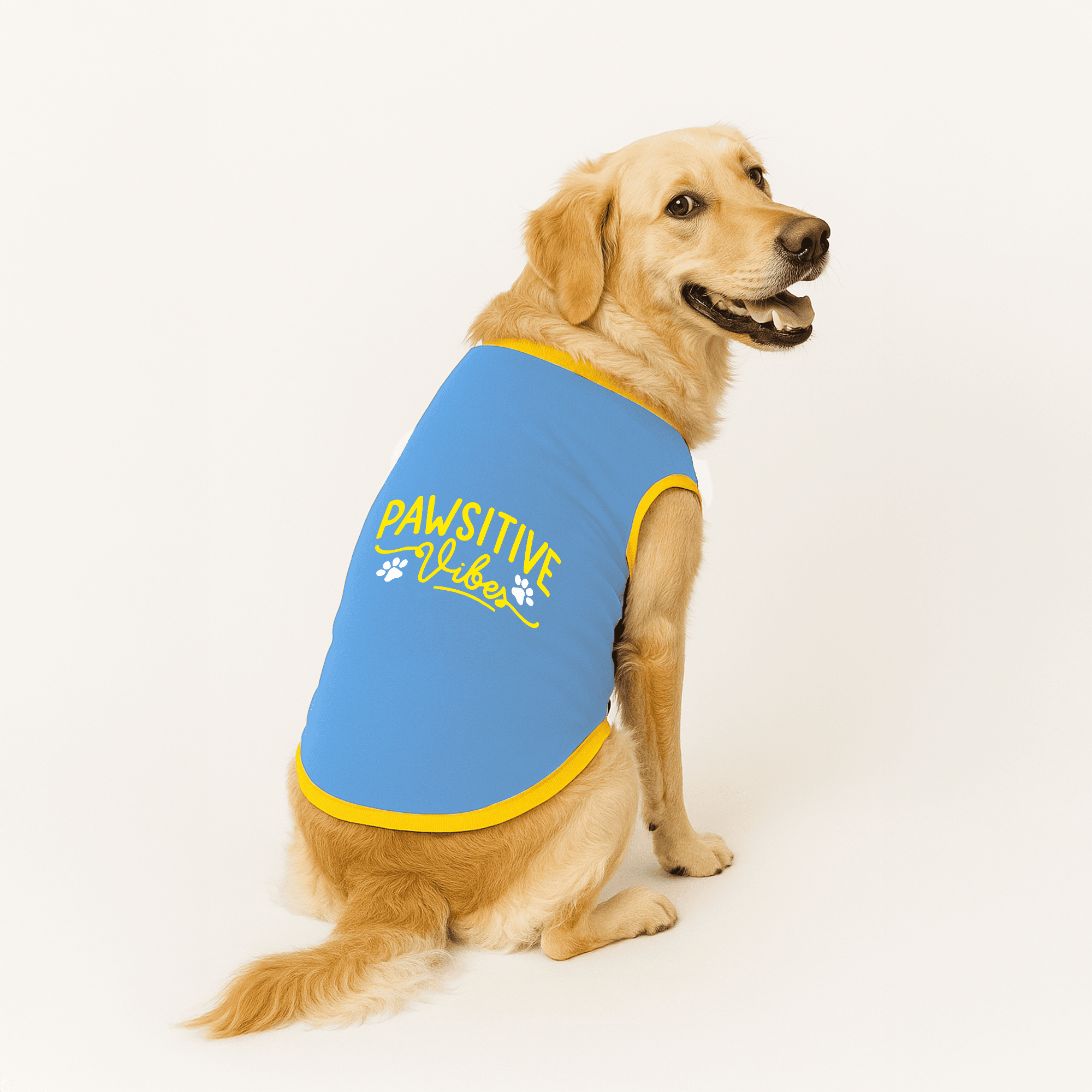 PawsIndia Ribbed Sleeves Printed Dog T-Shirt - Lucky Little Dude (Blue)