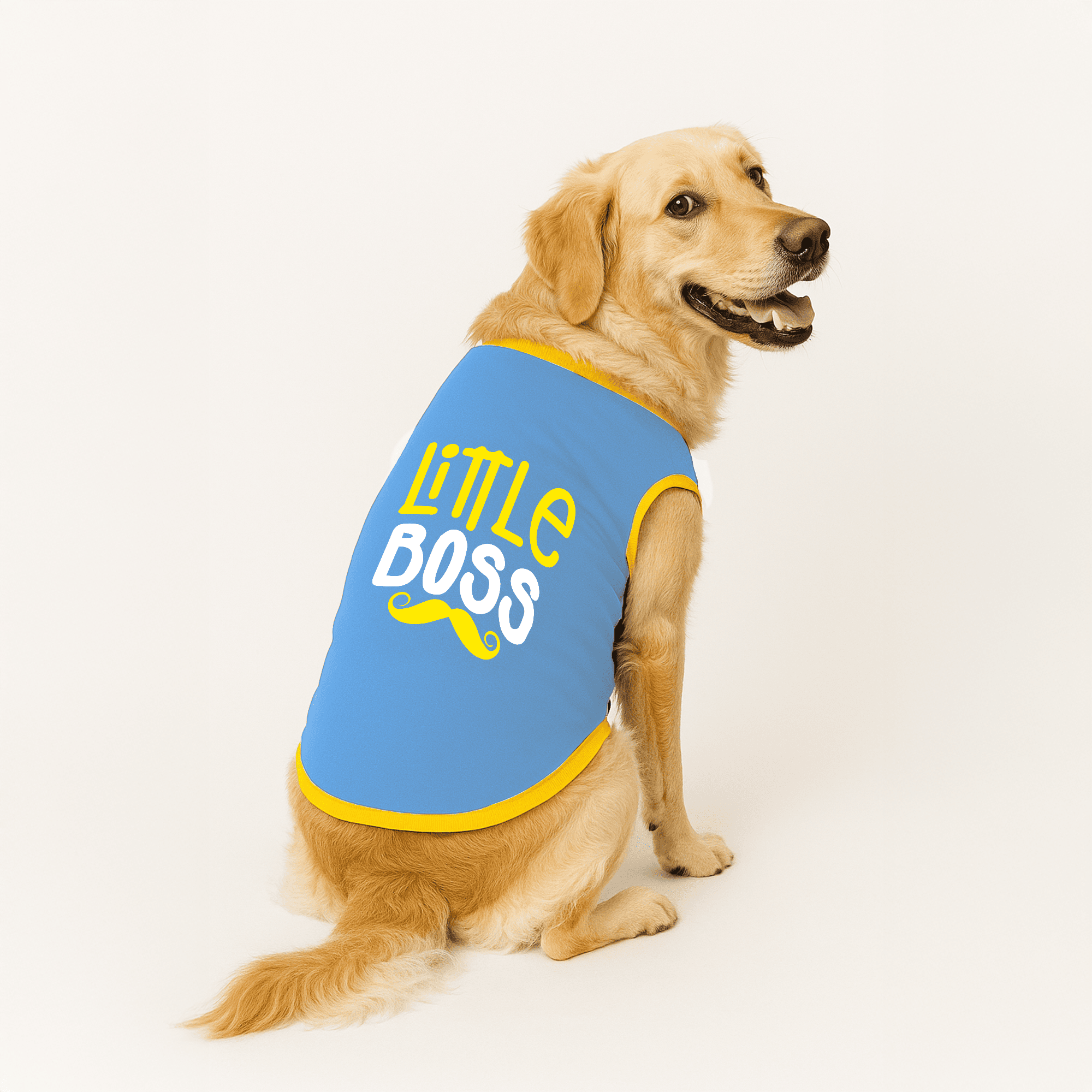 PawsIndia Ribbed Sleeves Printed Dog T-Shirt - Little Boss (Blue)