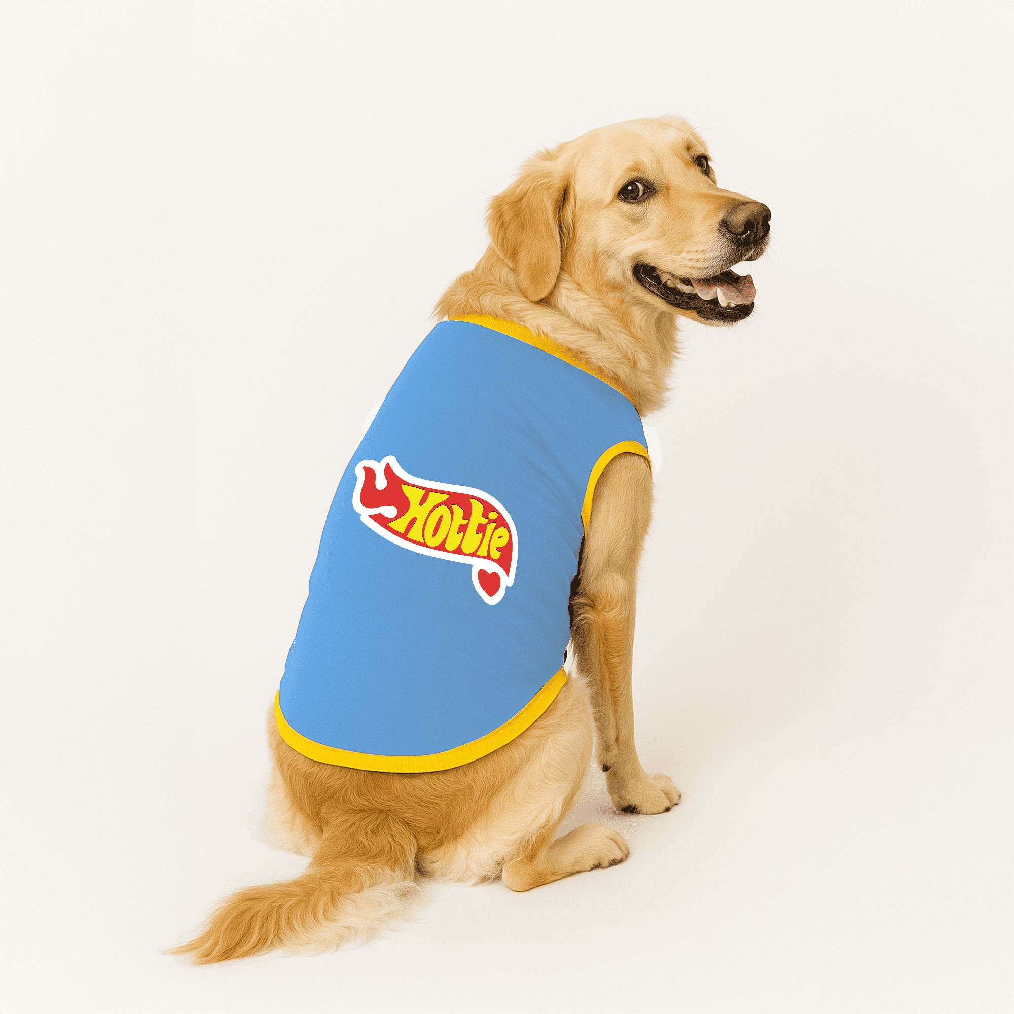 PawsIndia Ribbed Sleeves Printed Dog T-Shirt - Hottie (Blue)