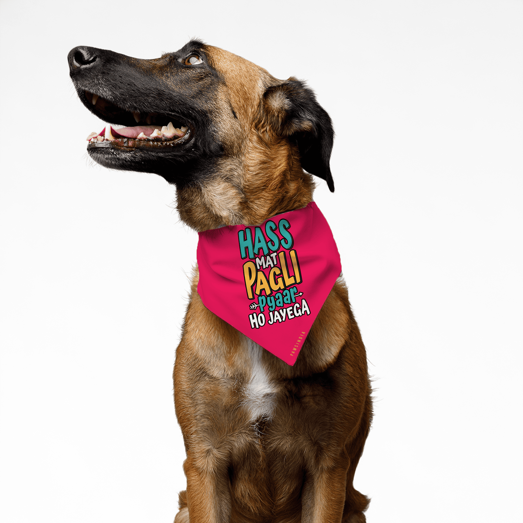 PawsIndia Pet Bandana - Hass Mat Pagli Pyar Ho Jayega