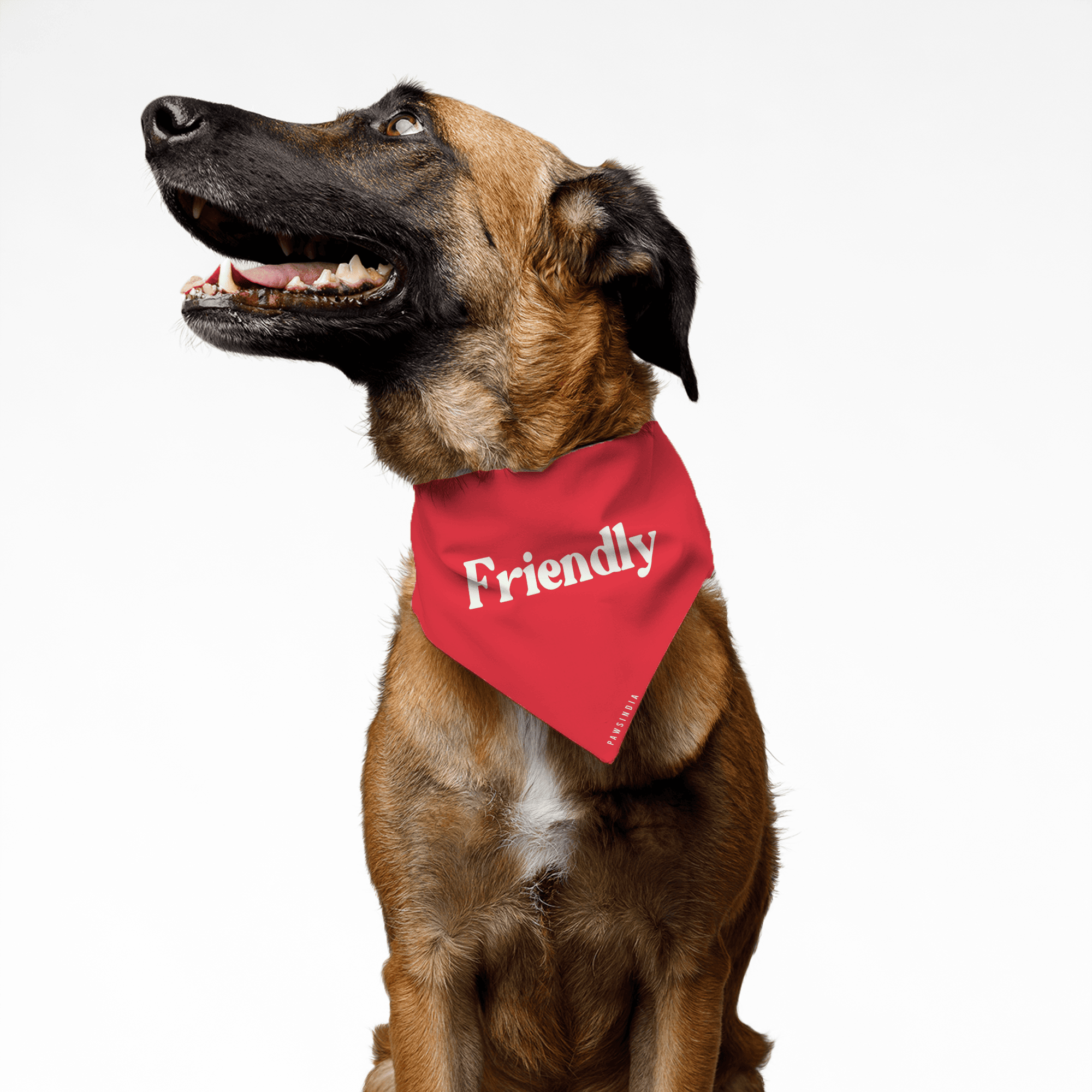 PawsIndia Pet Bandana - Friendly