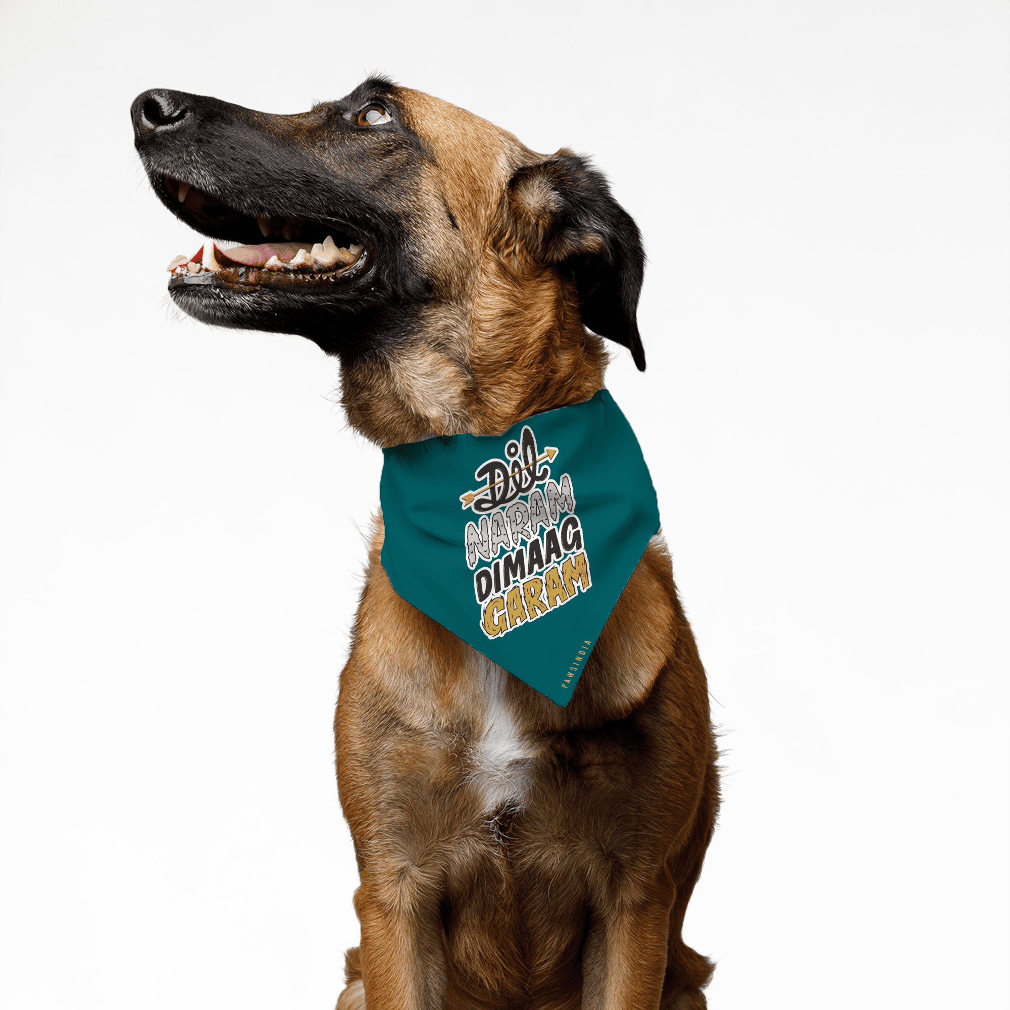 PawsIndia Pet Bandana - Dil Naram Dimag Garam