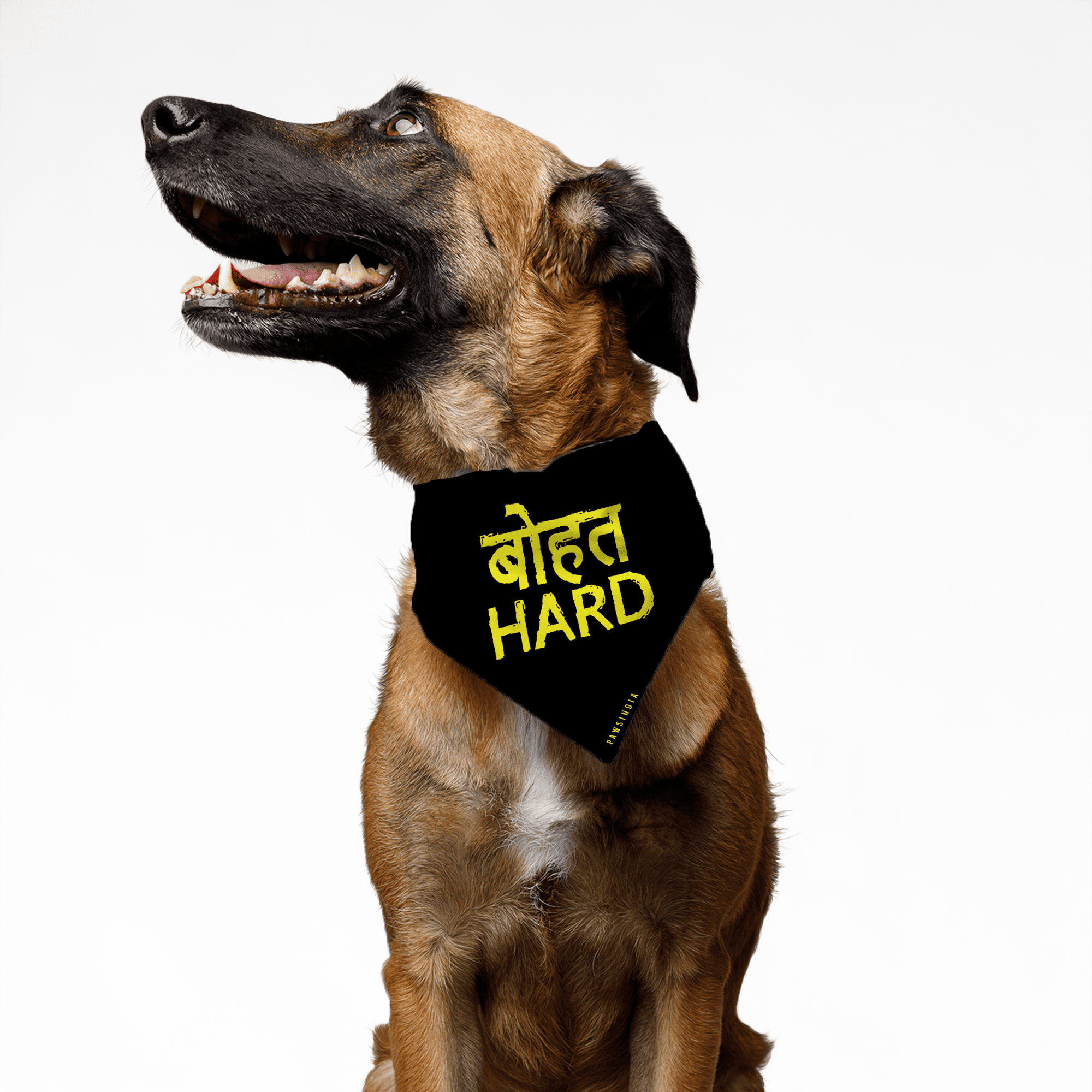 PawsIndia Pet Bandana - Bohot Hard