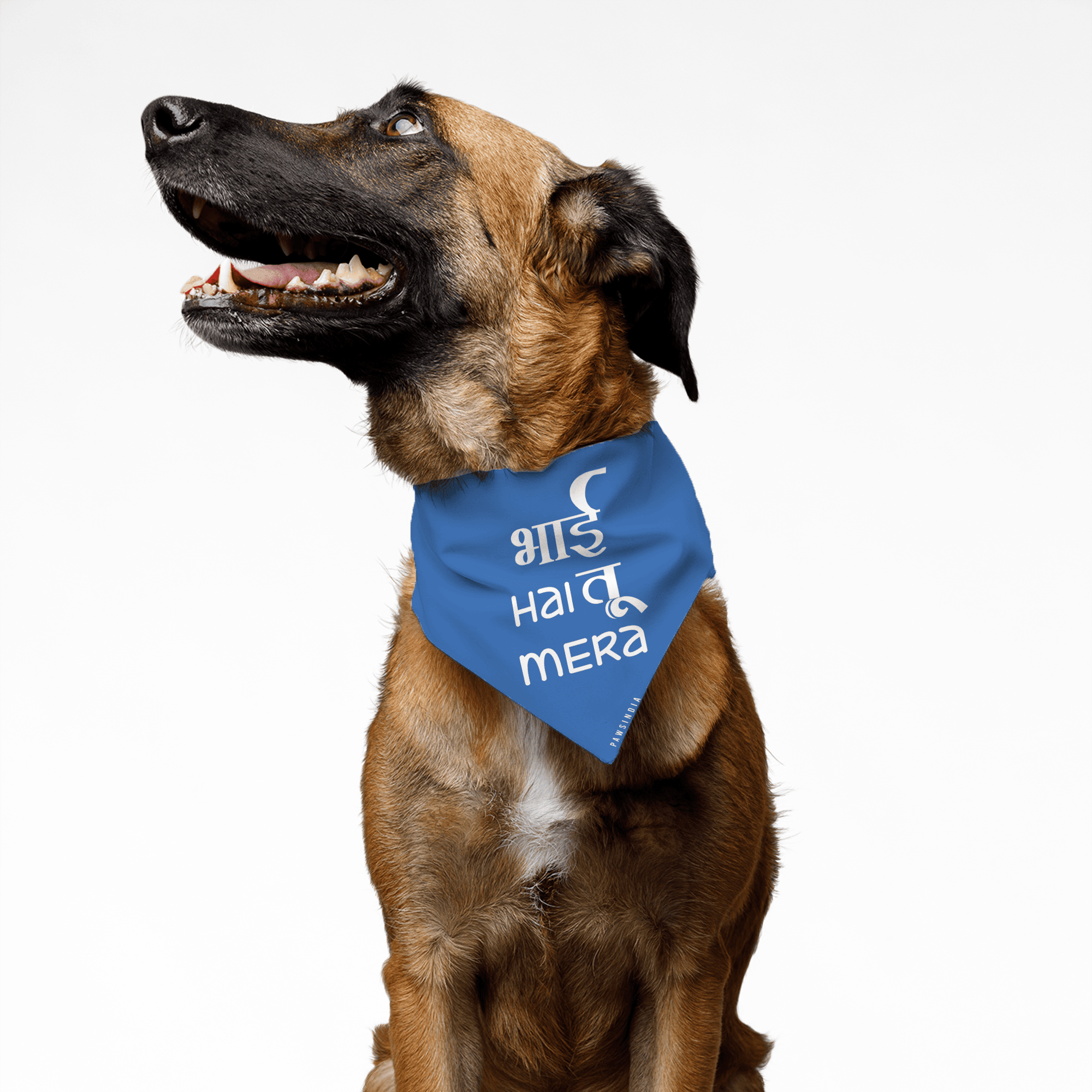 PawsIndia Pet Bandana - Bhai Hai Tu Mera
