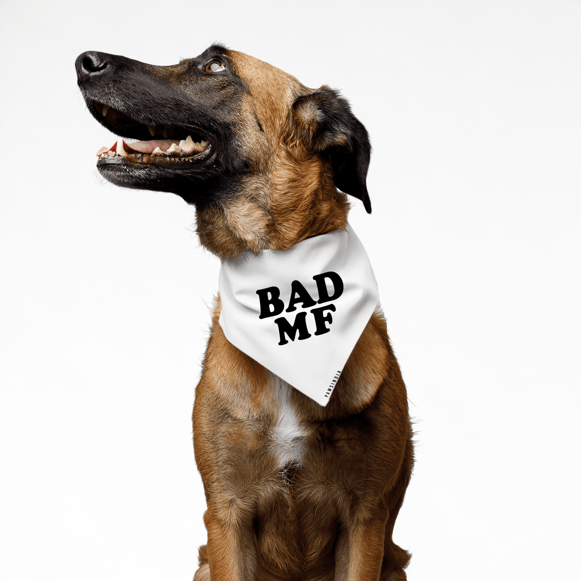 PawsIndia Pet Bandana - Bad MF