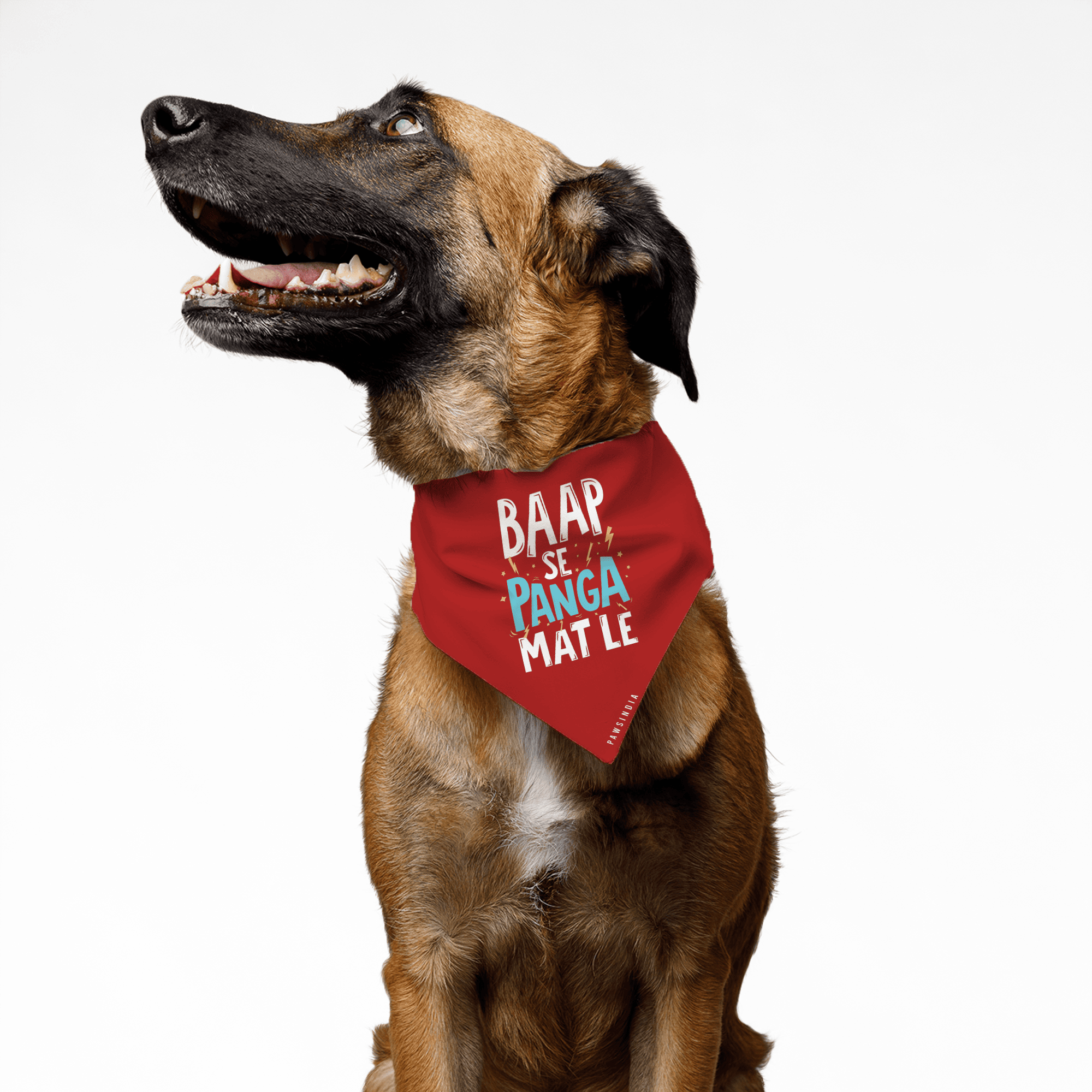 PawsIndia Pet Bandana - Baap Se Panga Mat Le