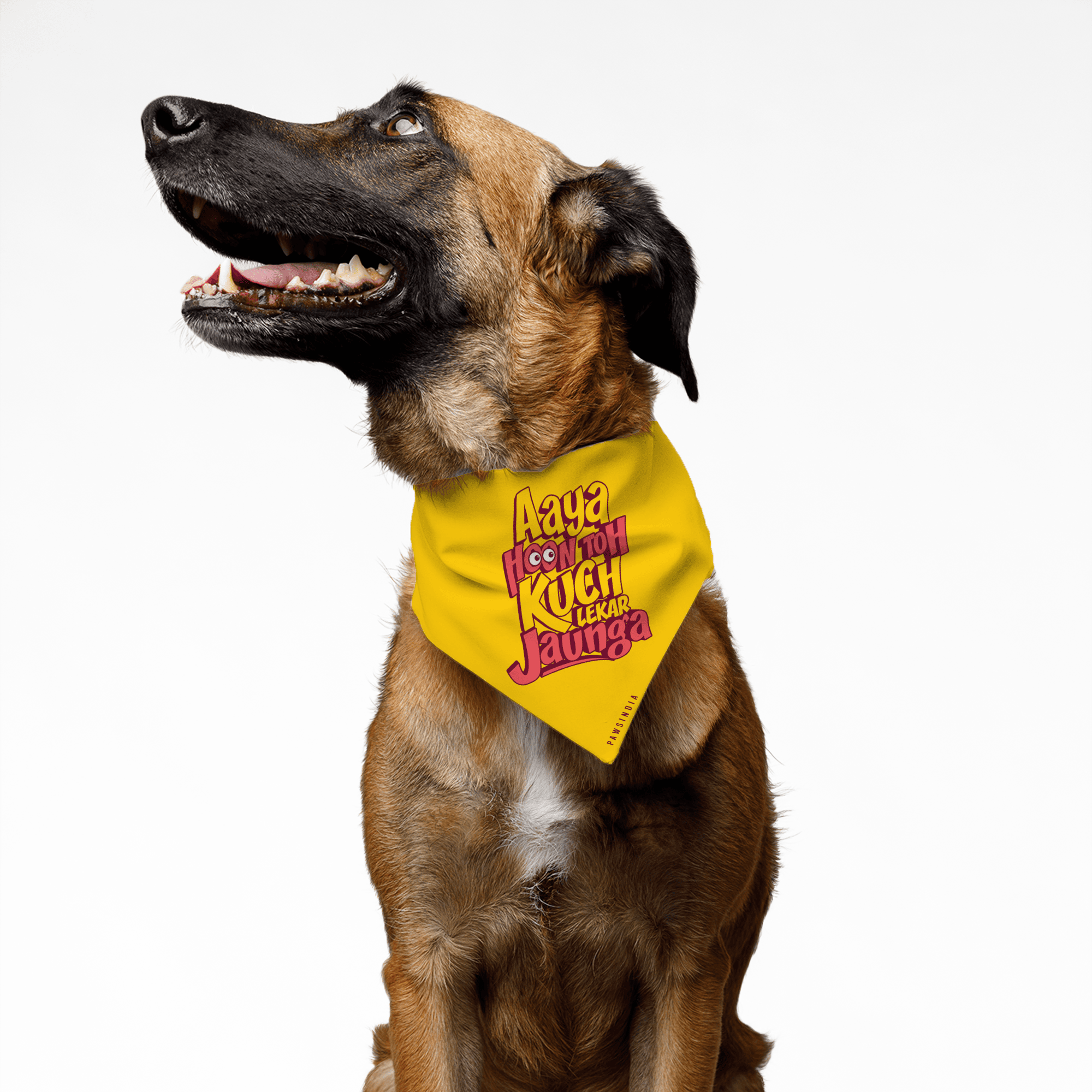 PawsIndia Pet Bandana - Aya Hu Toh Kuch Lekar Jaunga