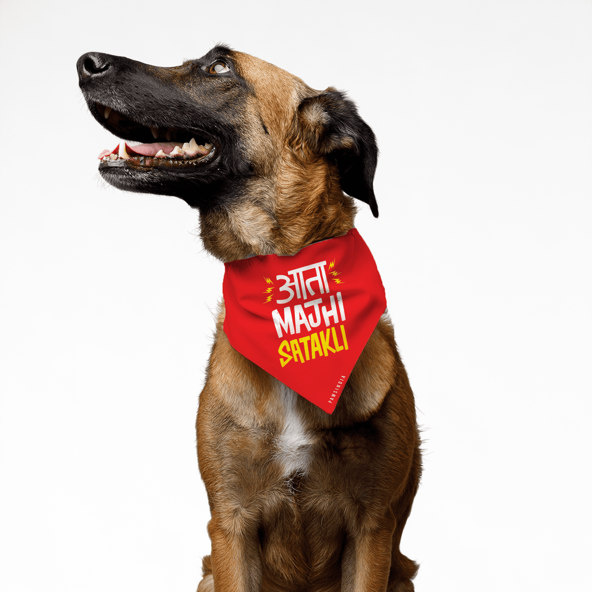 PawsIndia Pet Bandana - Ata Mazi Satakli