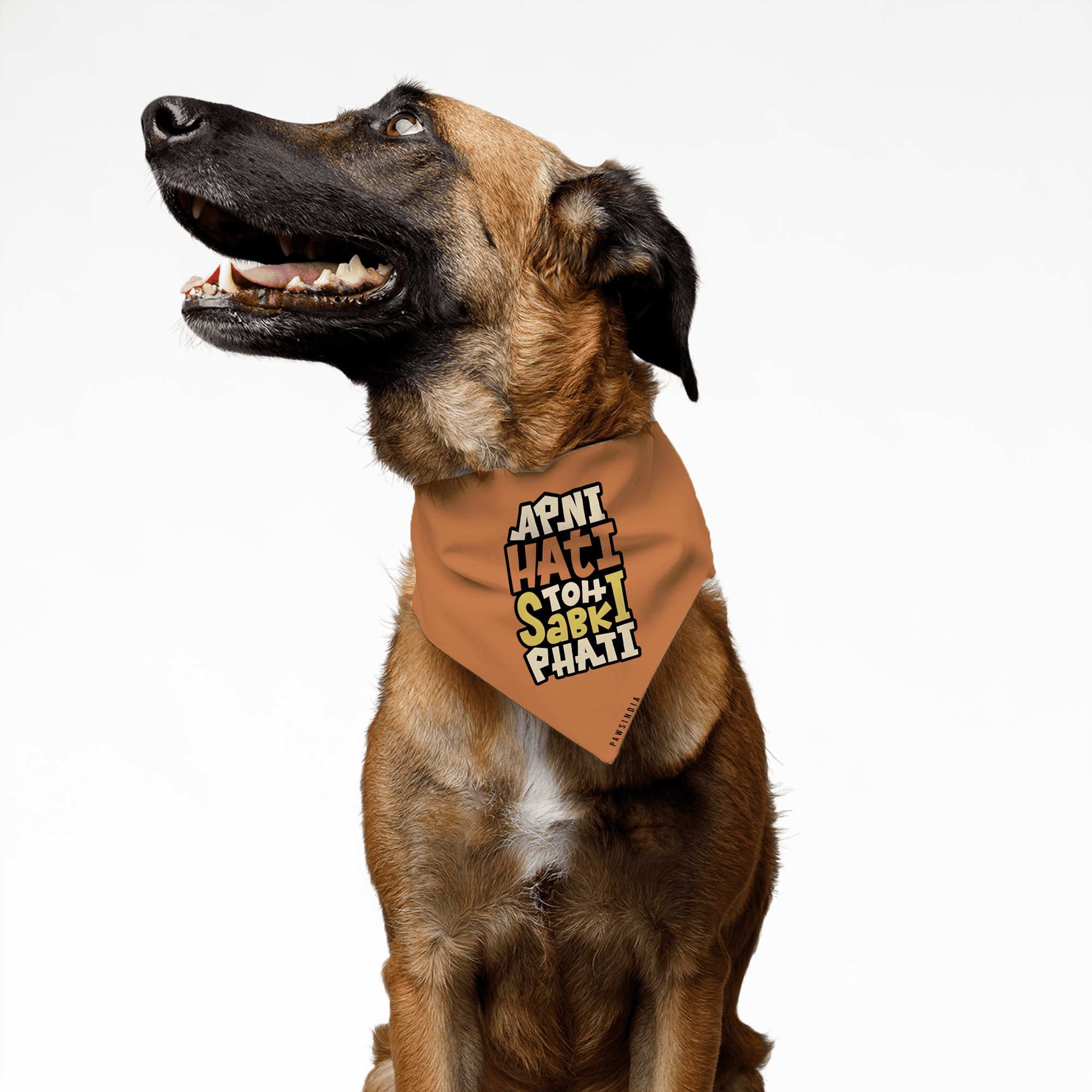 PawsIndia | PawsIndia Pet Bandana - Apni Hati Toh Sabki Phati