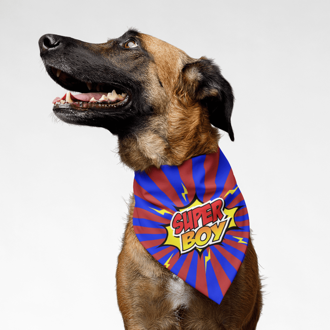 PawsIndia Pet Bandana - Super Boy