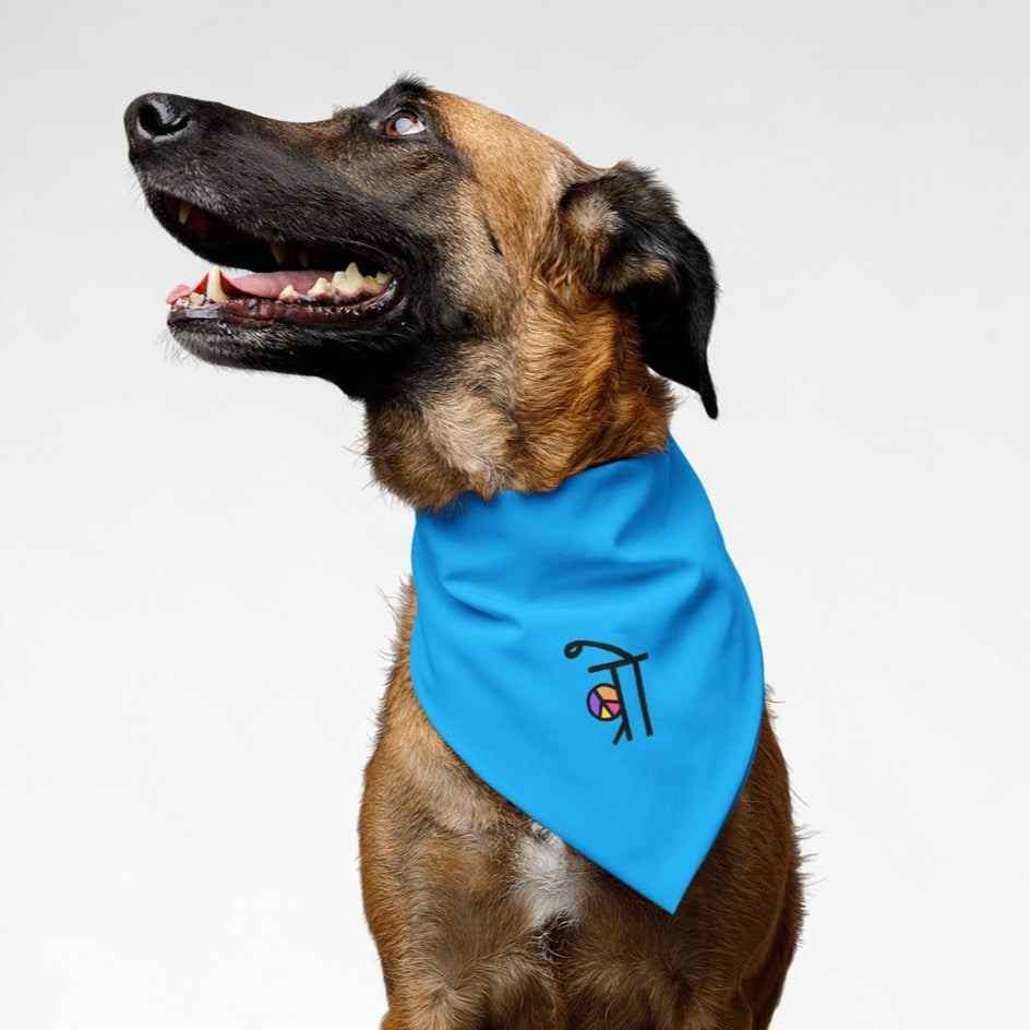 PawsIndia Pet Bandana - Bro